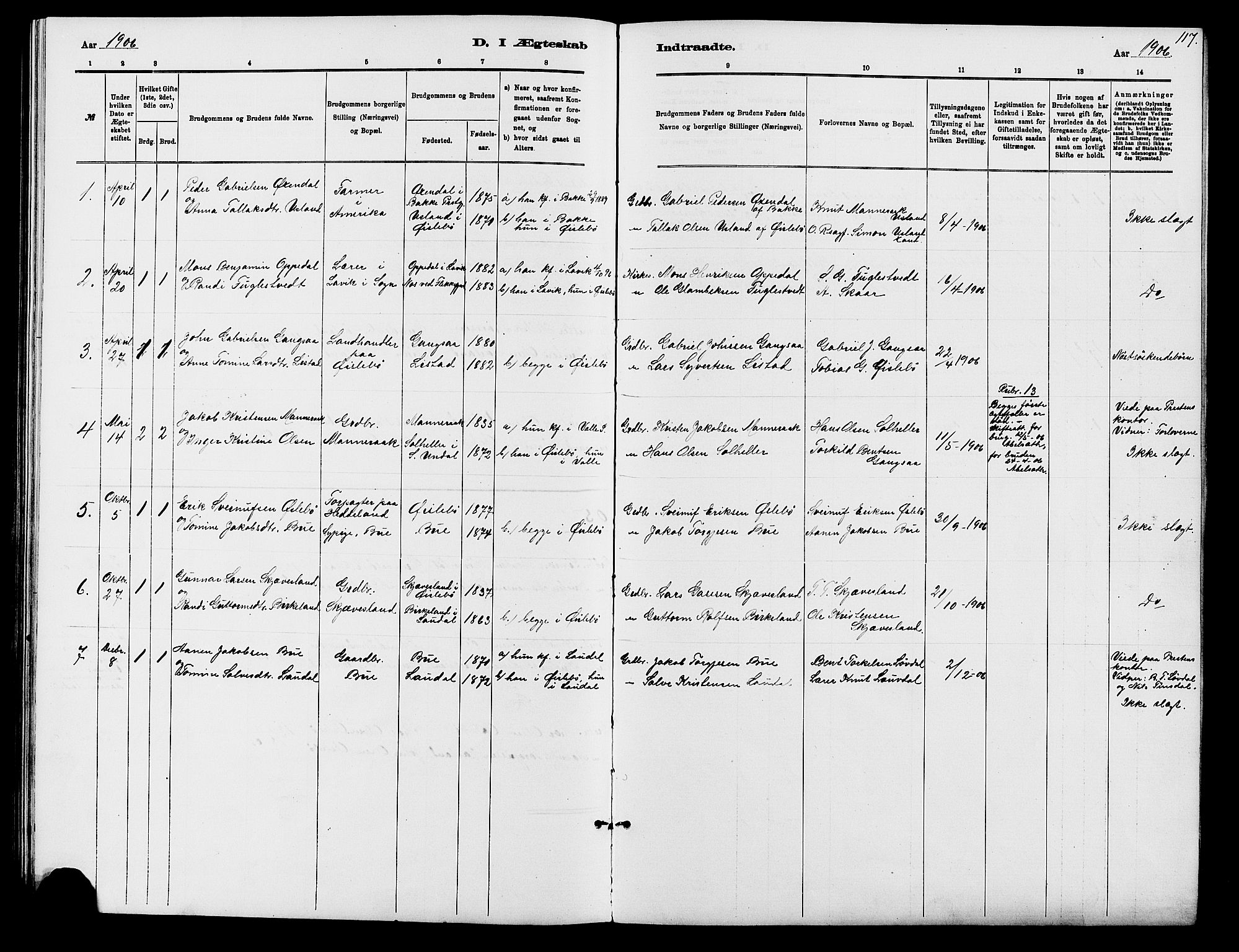 Holum sokneprestkontor, AV/SAK-1111-0022/F/Fb/Fbc/L0003: Parish register (copy) no. B 3, 1882-1908, p. 117