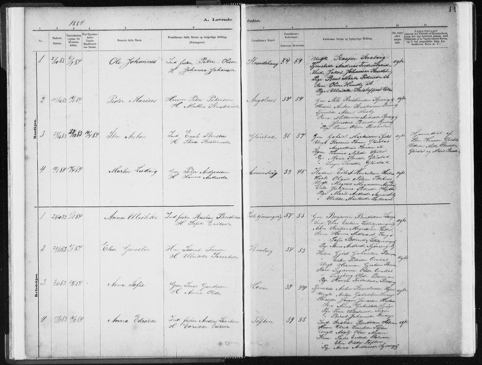 Ministerialprotokoller, klokkerbøker og fødselsregistre - Sør-Trøndelag, SAT/A-1456/634/L0533: Parish register (official) no. 634A09, 1882-1901, p. 14