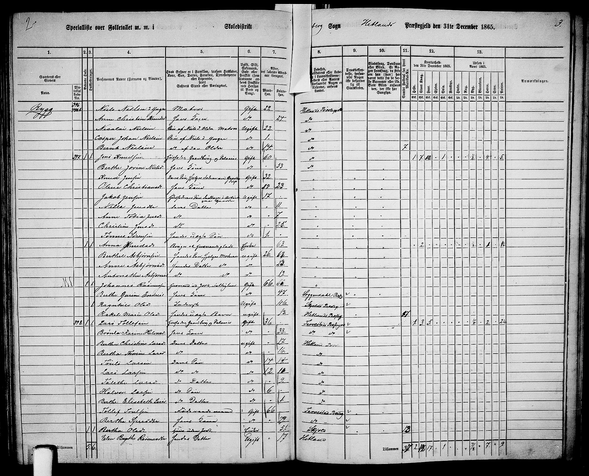 RA, 1865 census for Hetland, 1865, p. 184