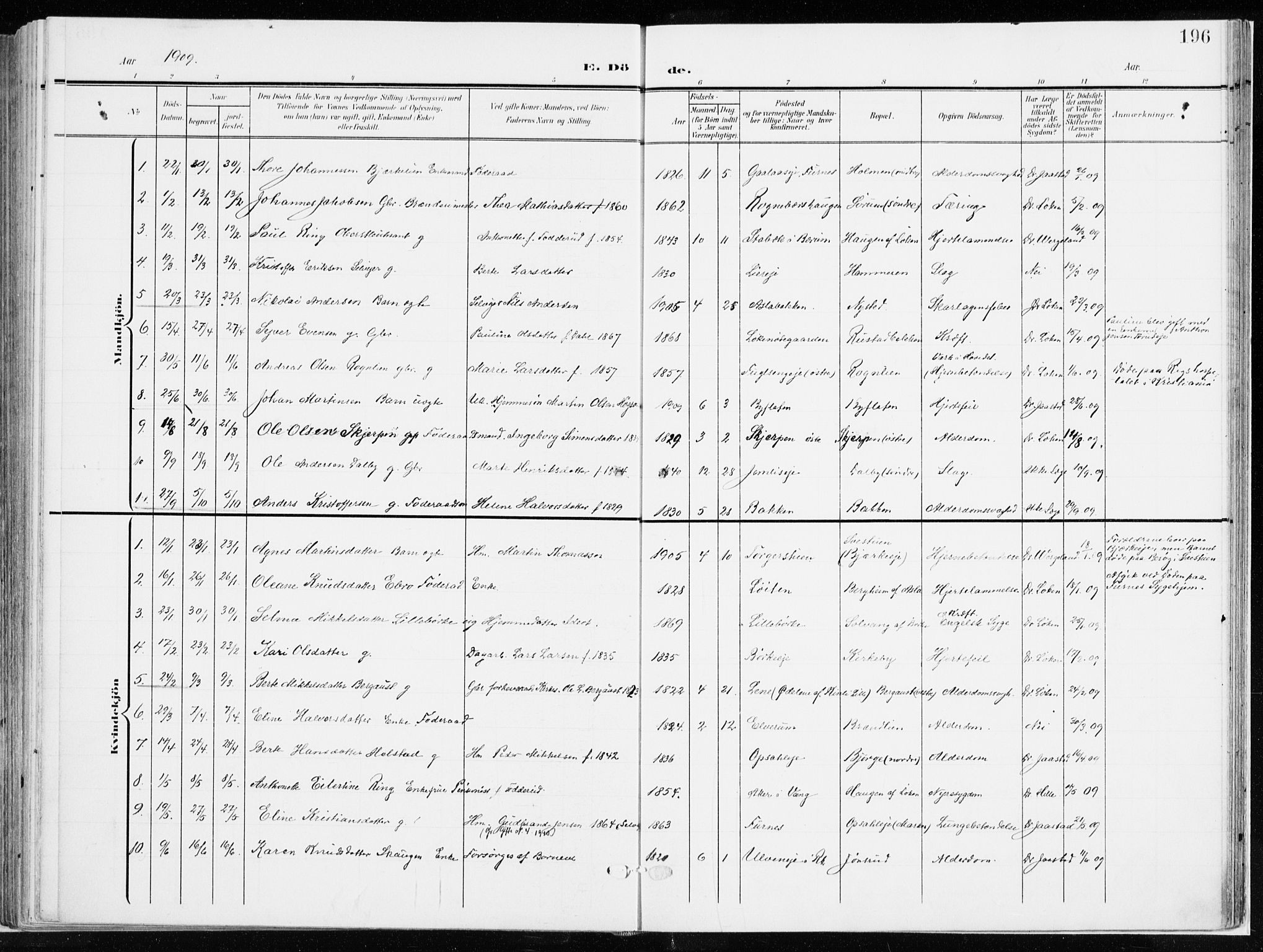 Ringsaker prestekontor, SAH/PREST-014/K/Ka/L0019: Parish register (official) no. 19, 1905-1920, p. 196