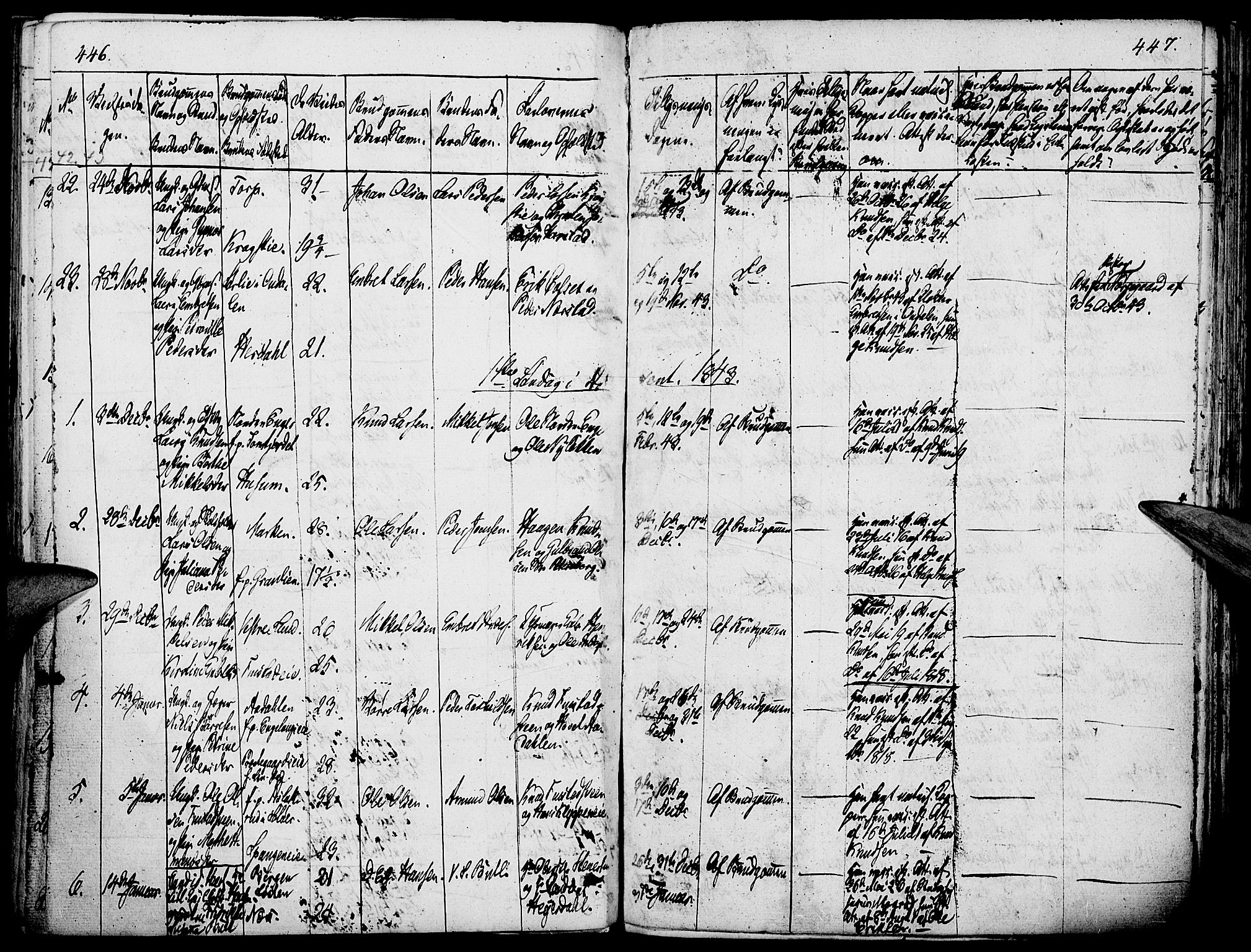 Løten prestekontor, SAH/PREST-022/K/Ka/L0006: Parish register (official) no. 6, 1832-1849, p. 446-447