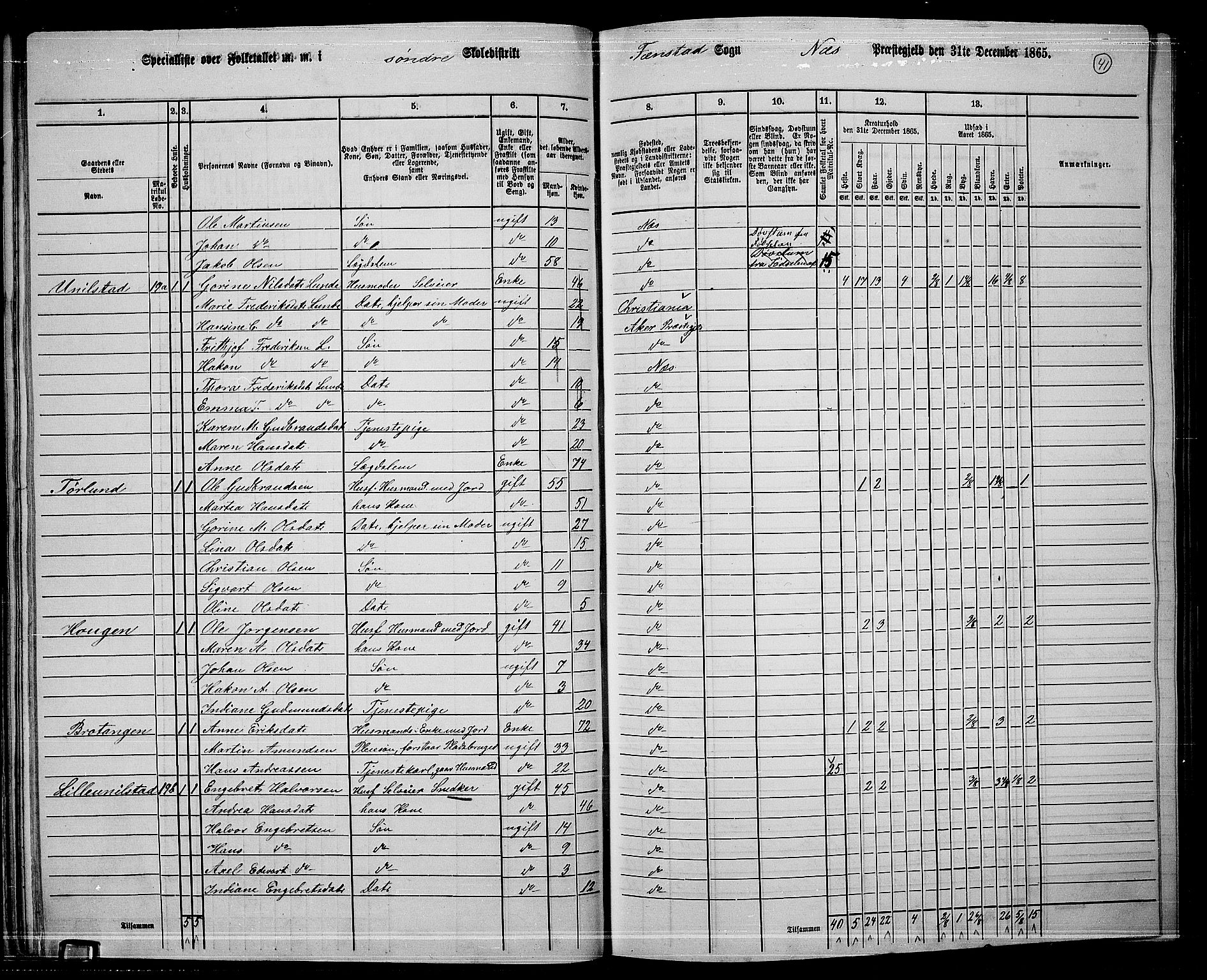 RA, 1865 census for Nes, 1865, p. 38