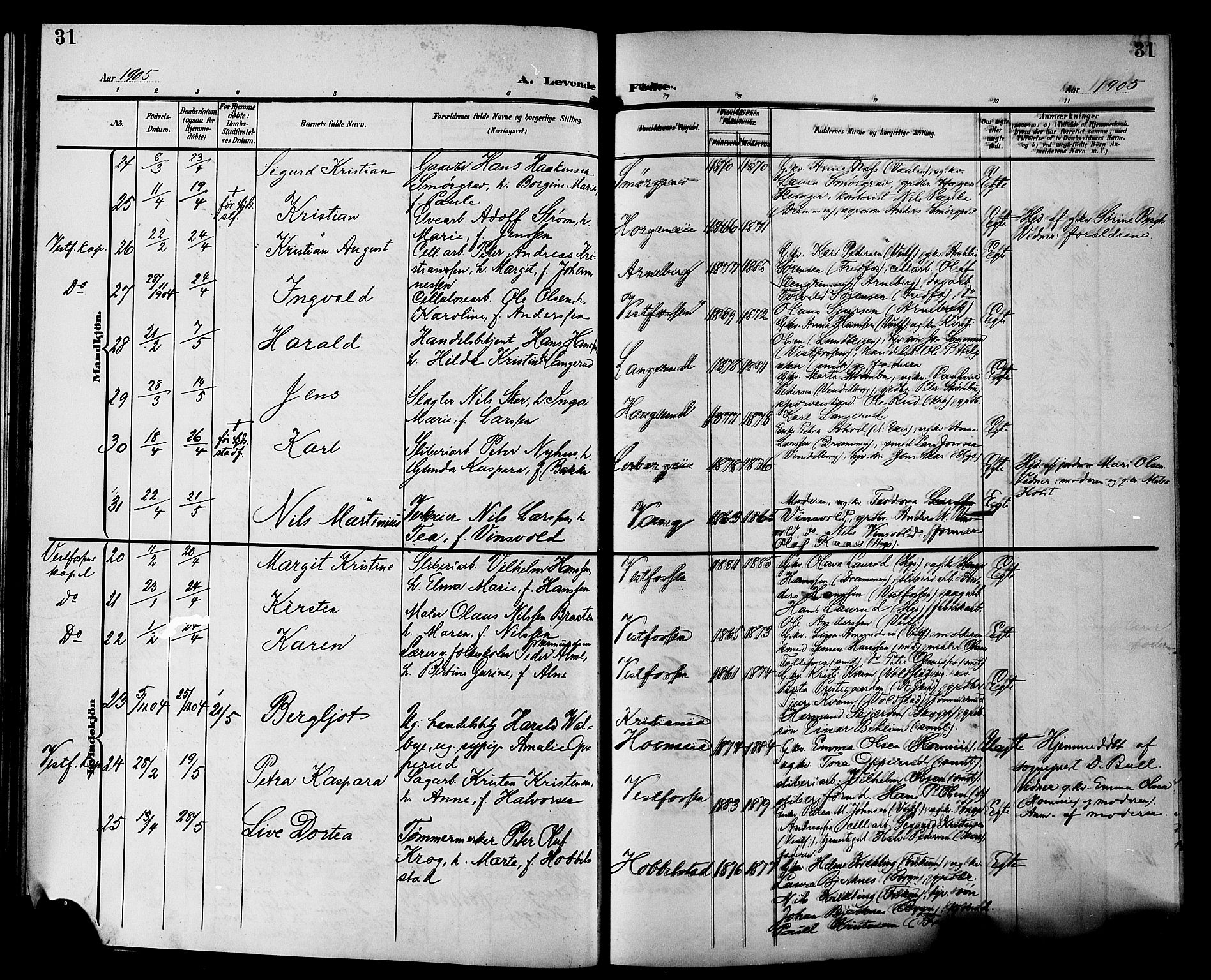 Eiker kirkebøker, AV/SAKO-A-4/G/Ga/L0008: Parish register (copy) no. I 8, 1903-1914, p. 31
