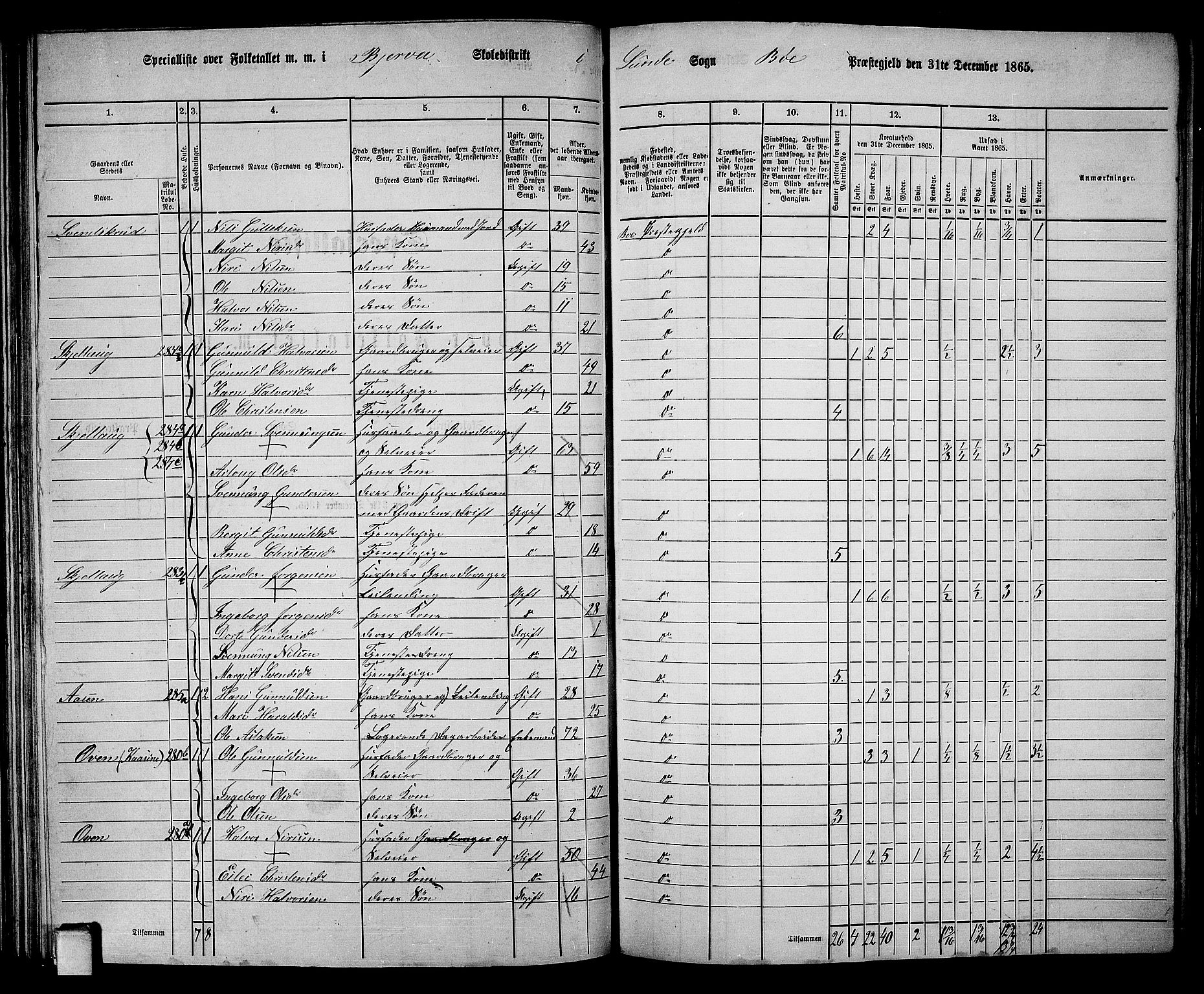 RA, 1865 census for Bø, 1865, p. 46