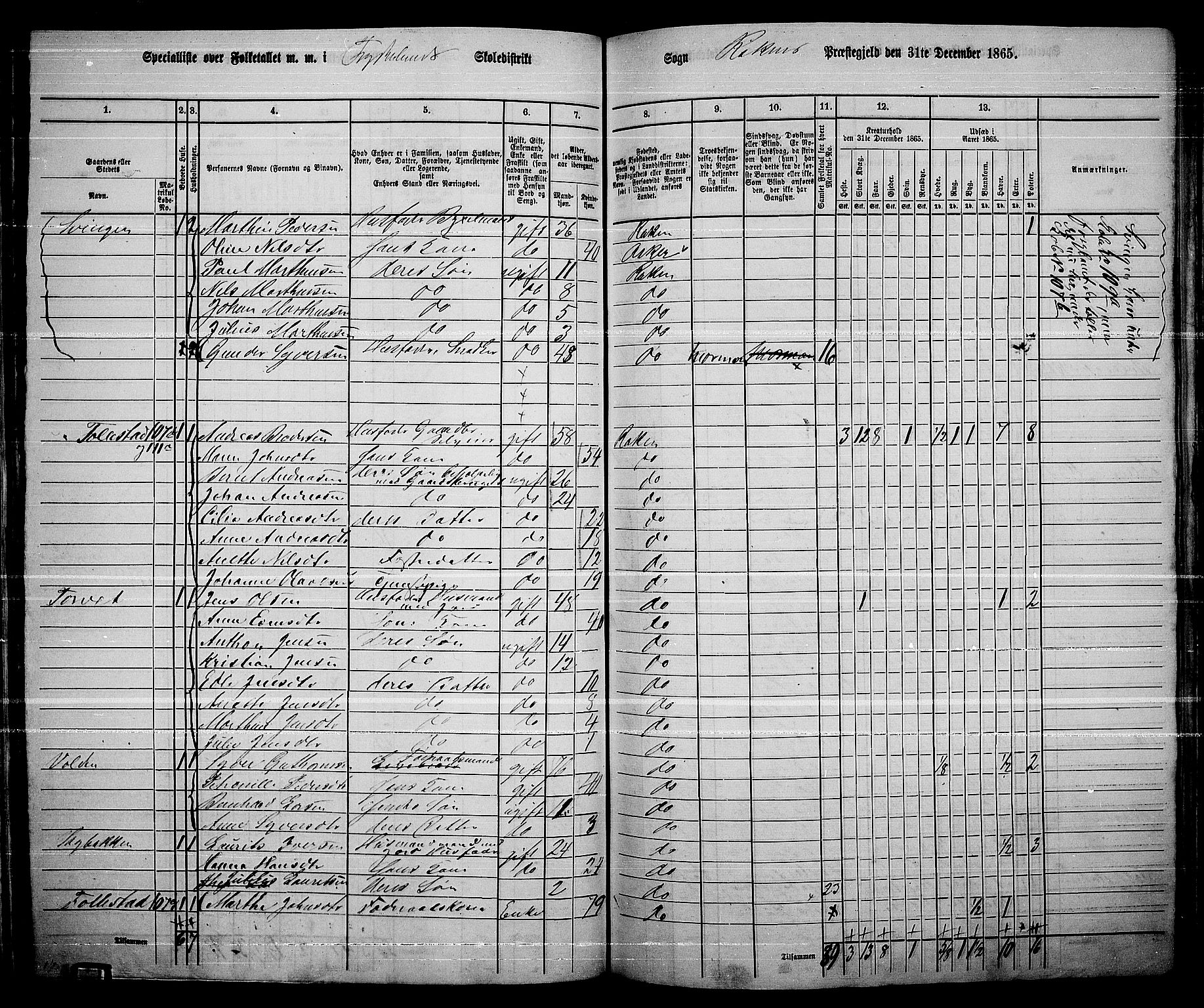 RA, 1865 census for Røyken, 1865, p. 96