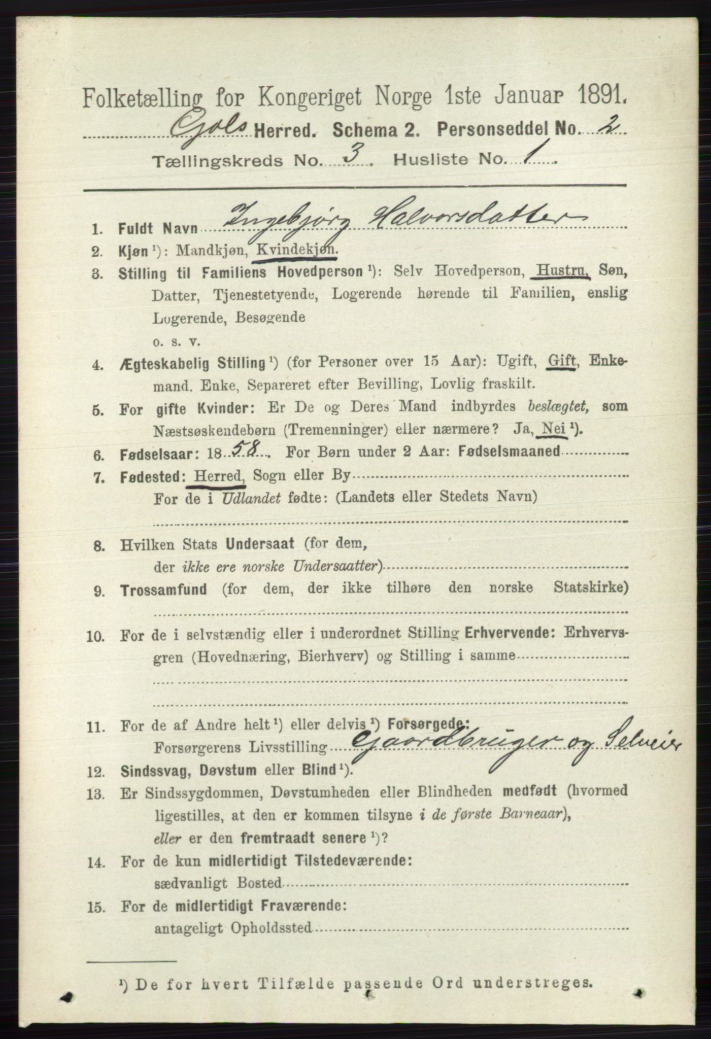 RA, 1891 census for 0617 Gol og Hemsedal, 1891, p. 1274