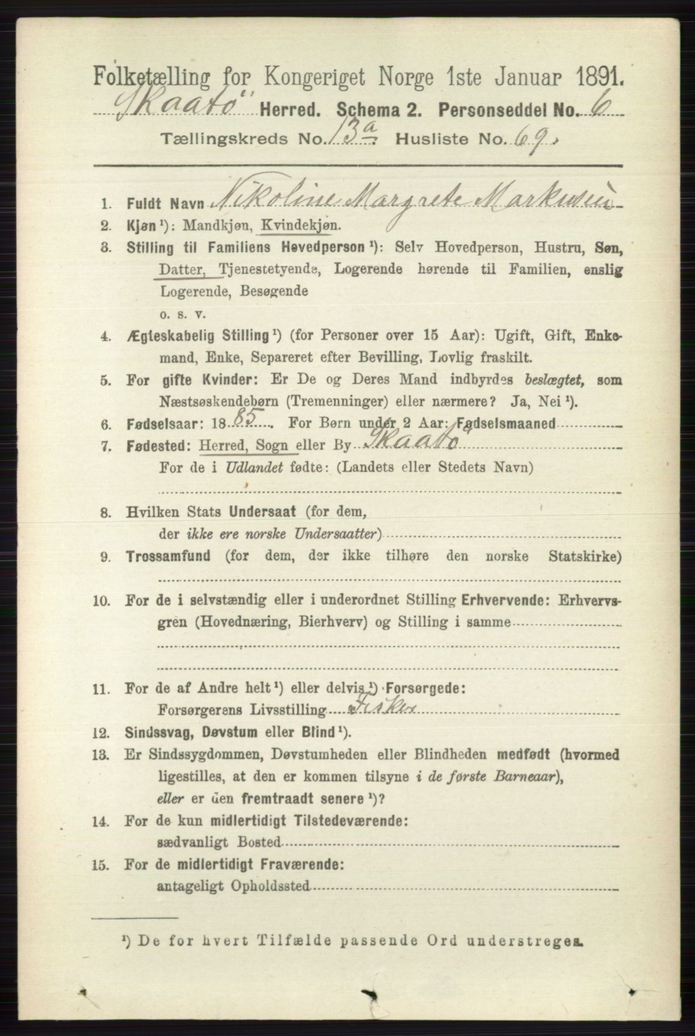 RA, 1891 census for 0815 Skåtøy, 1891, p. 4811