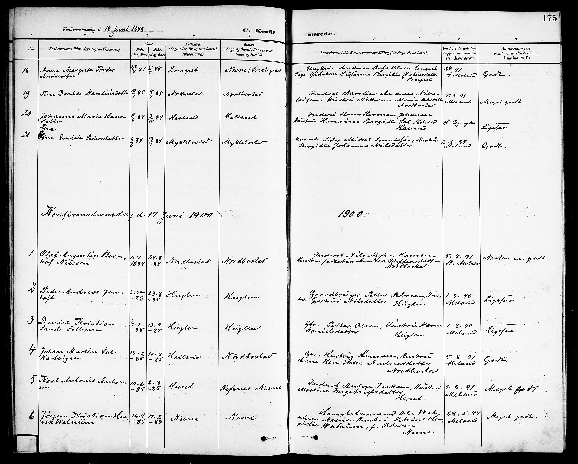 Ministerialprotokoller, klokkerbøker og fødselsregistre - Nordland, SAT/A-1459/838/L0559: Parish register (copy) no. 838C06, 1893-1910, p. 175