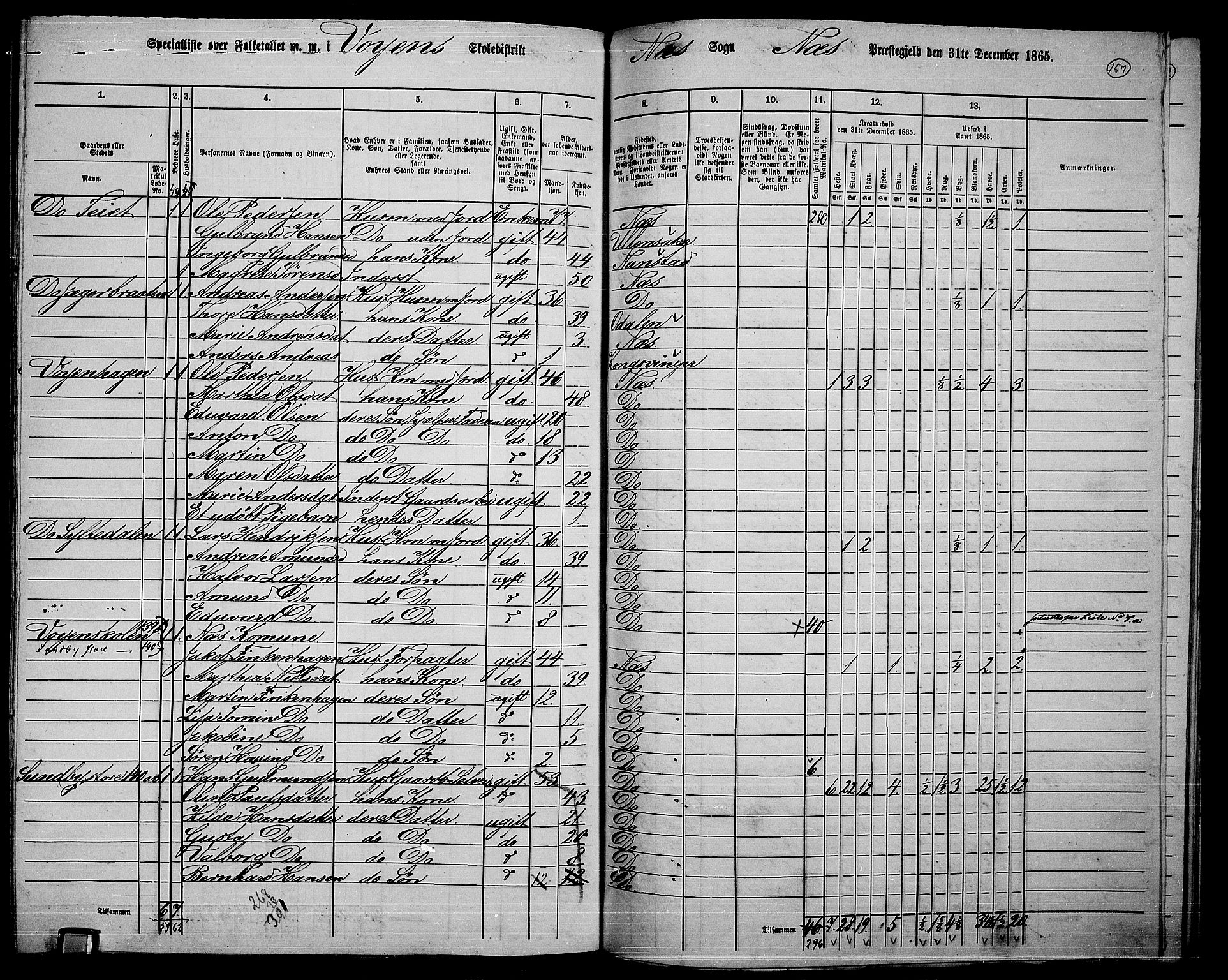 RA, 1865 census for Nes, 1865, p. 143