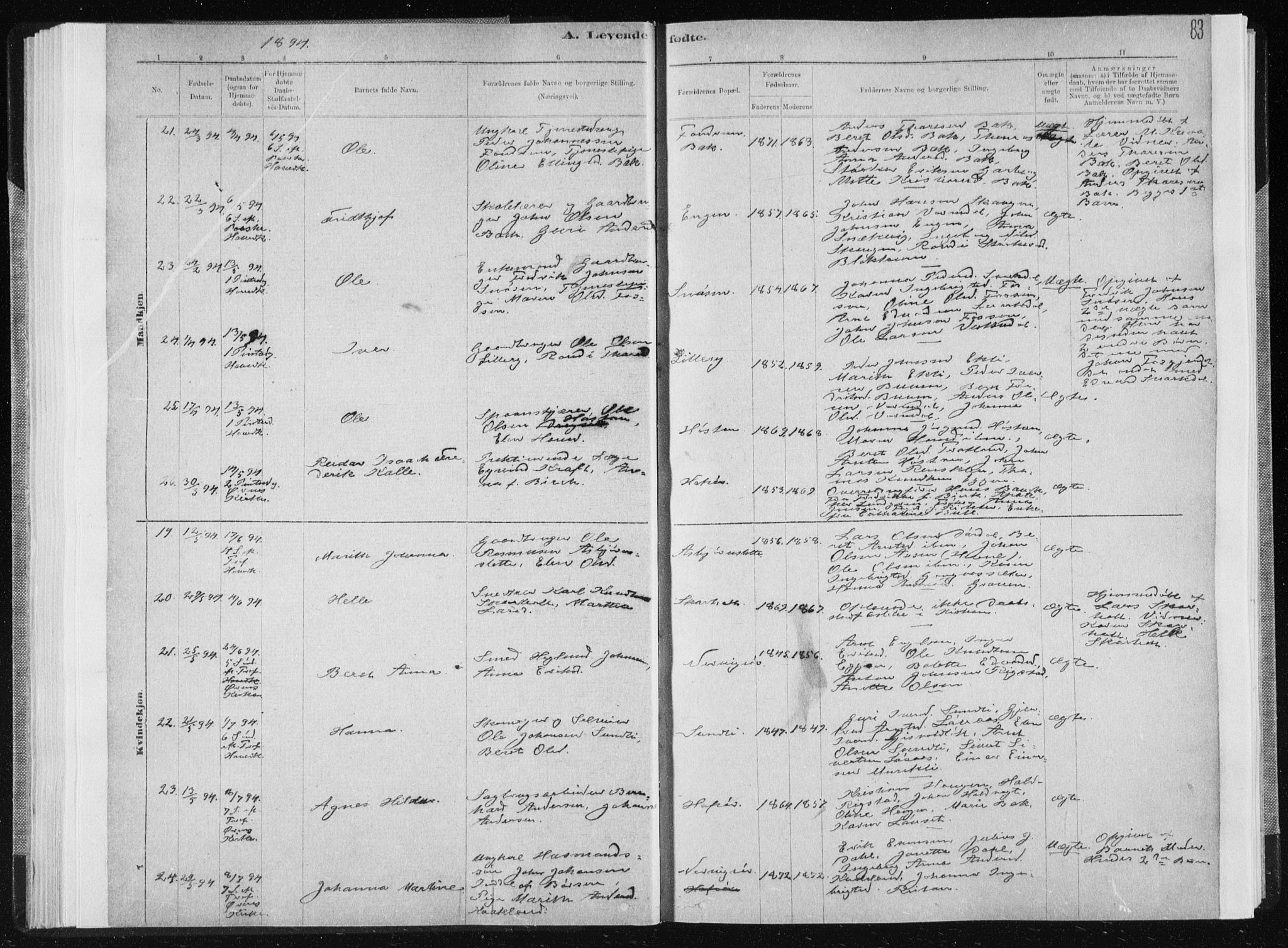 Ministerialprotokoller, klokkerbøker og fødselsregistre - Sør-Trøndelag, AV/SAT-A-1456/668/L0818: Parish register (copy) no. 668C07, 1885-1898, p. 83