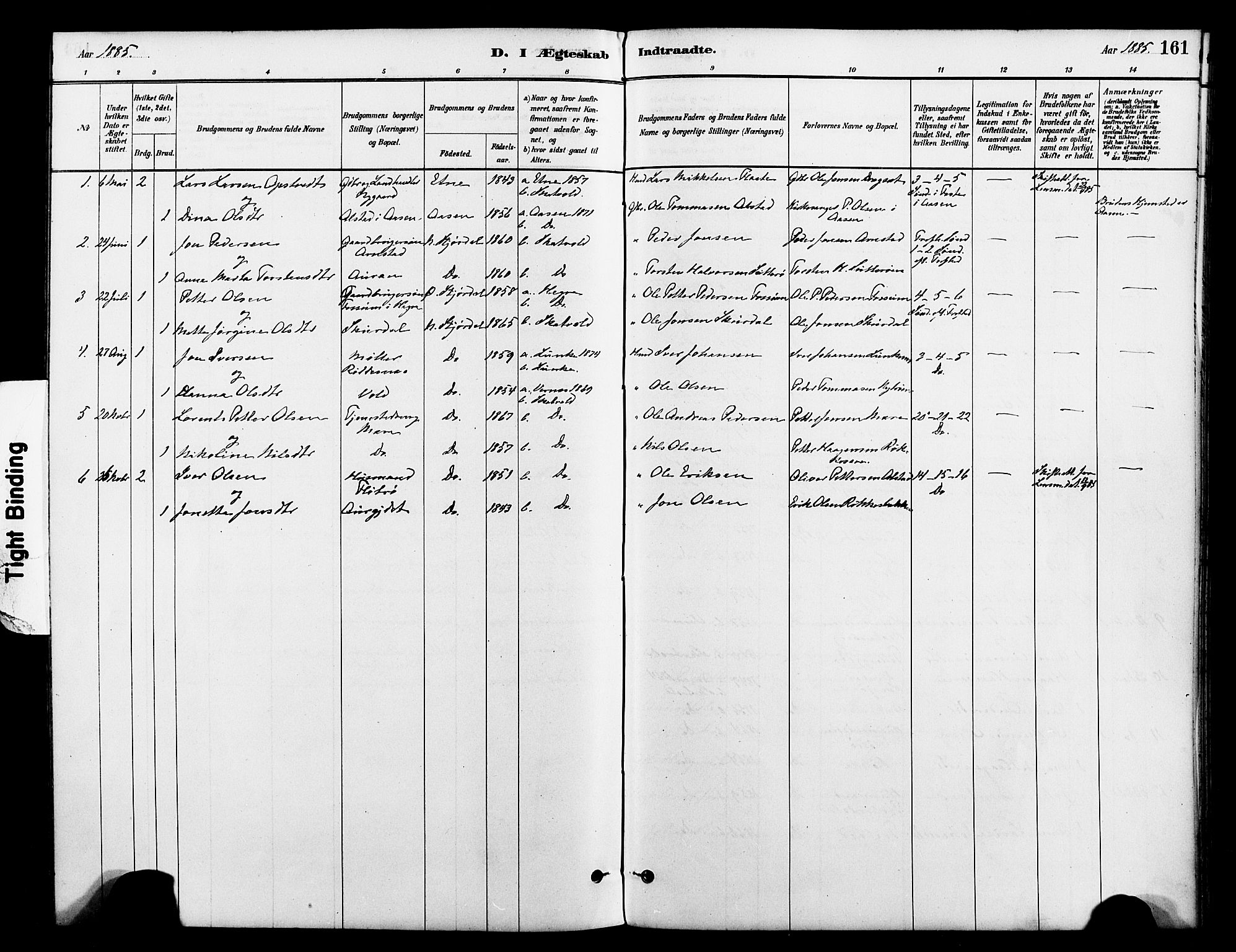 Ministerialprotokoller, klokkerbøker og fødselsregistre - Nord-Trøndelag, SAT/A-1458/712/L0100: Parish register (official) no. 712A01, 1880-1900, p. 161