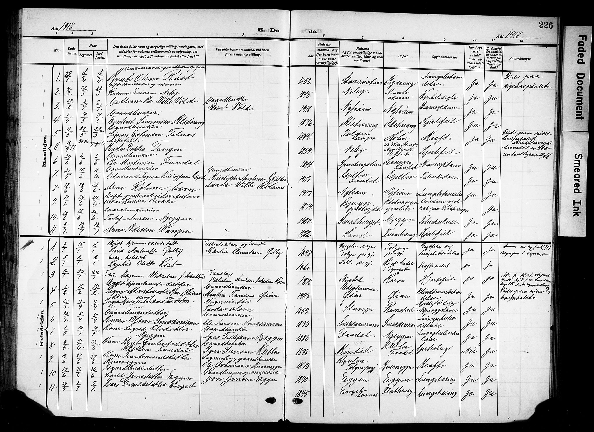 Tynset prestekontor, SAH/PREST-058/H/Ha/Hab/L0011: Parish register (copy) no. 11, 1915-1930, p. 226