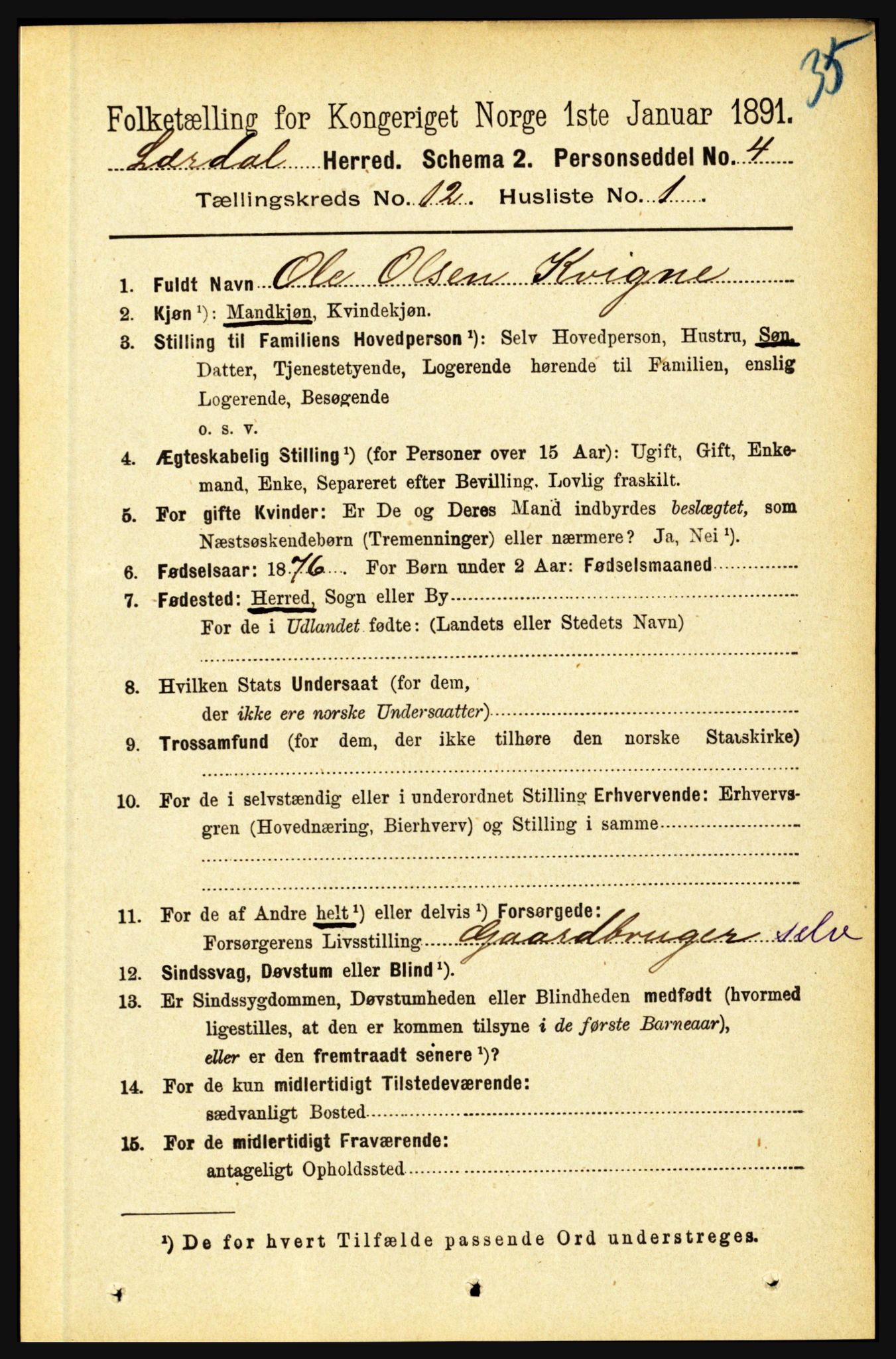 RA, 1891 census for 1422 Lærdal, 1891, p. 2551