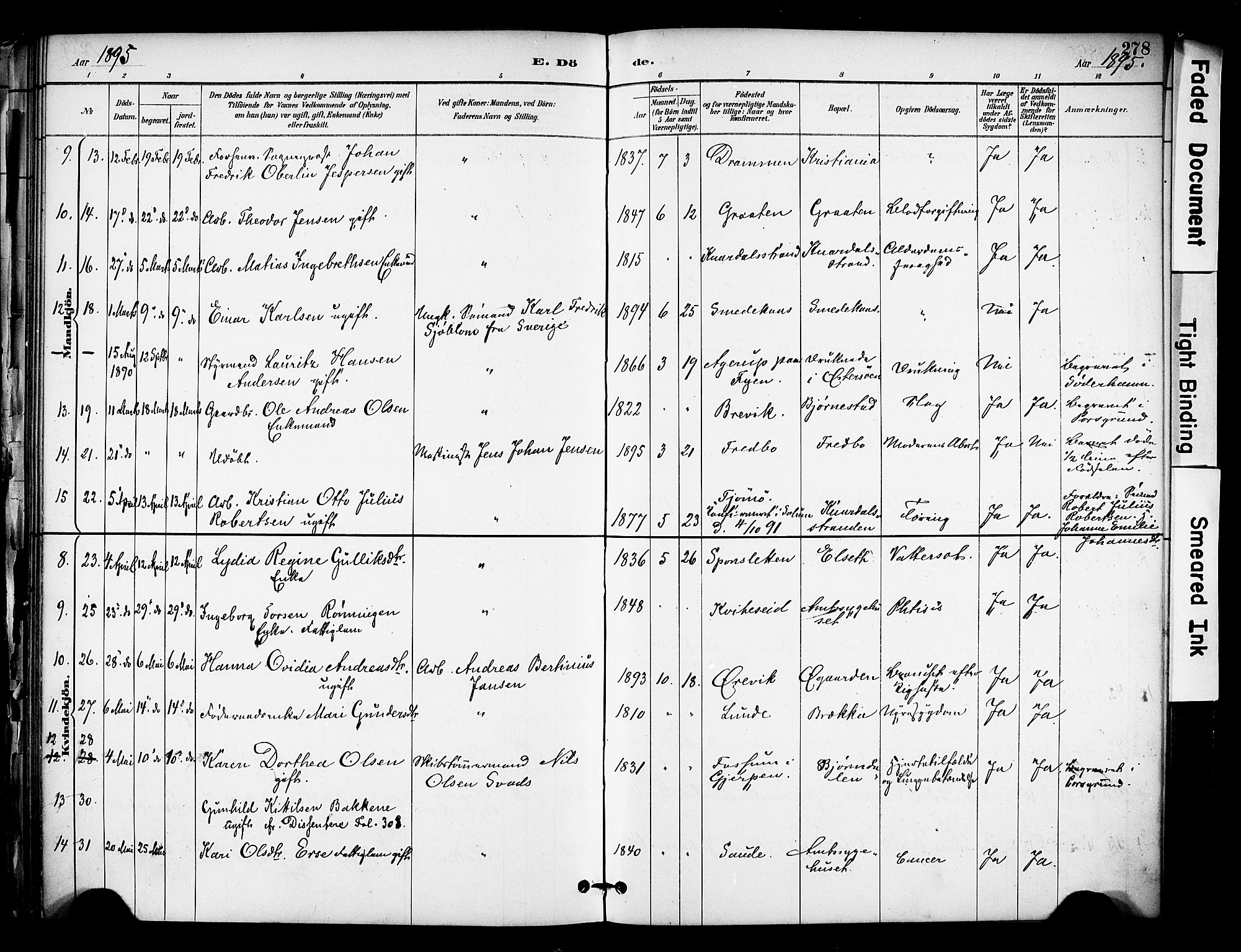 Solum kirkebøker, SAKO/A-306/F/Fa/L0010: Parish register (official) no. I 10, 1888-1898, p. 278
