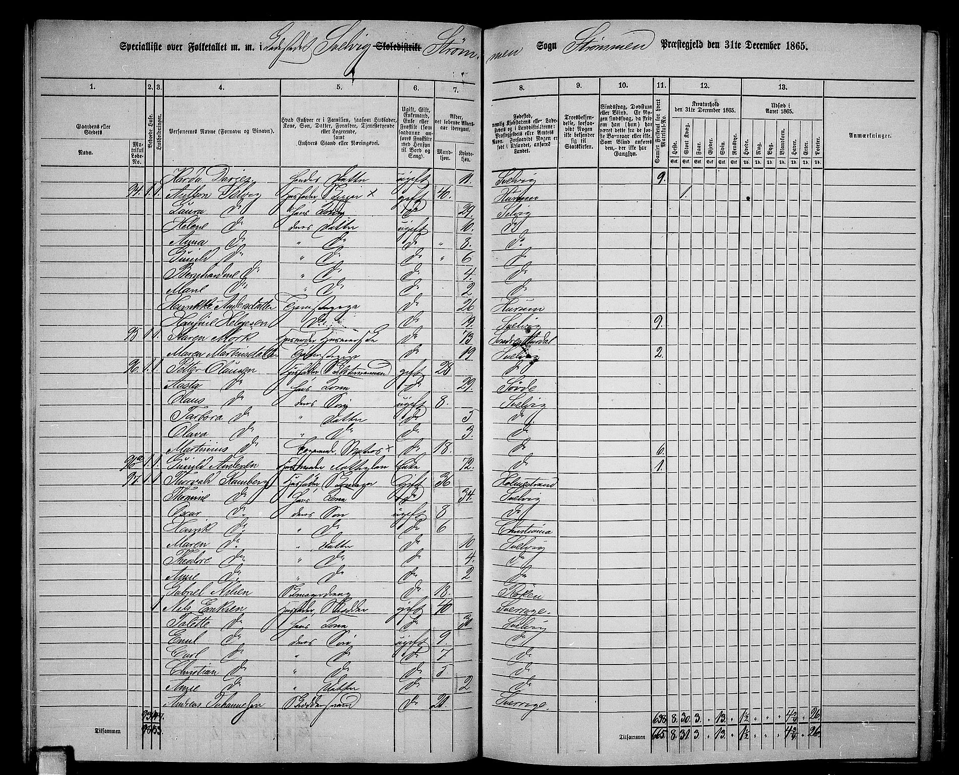 RA, 1865 census for Strømm, 1865, p. 83