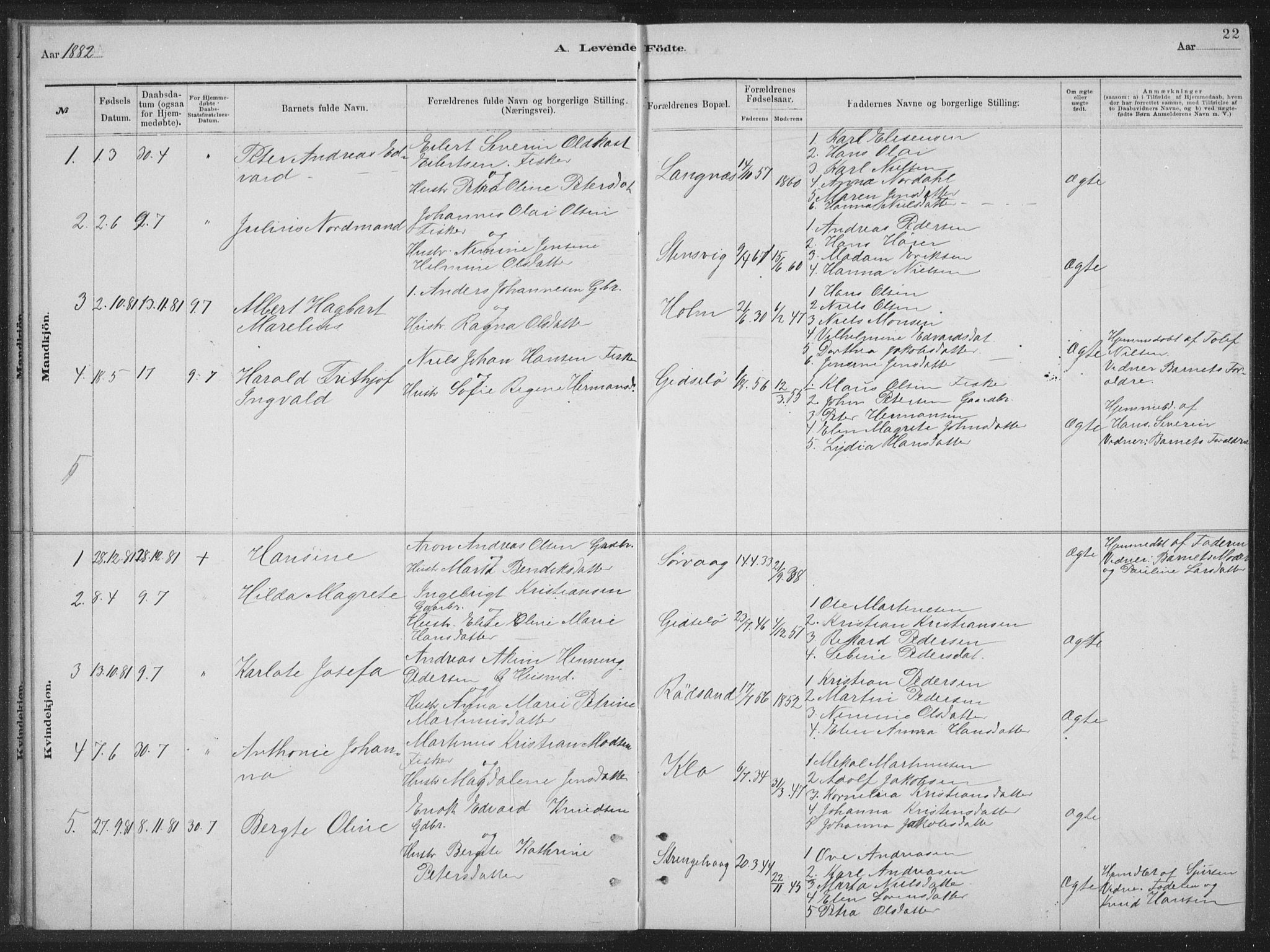 Ministerialprotokoller, klokkerbøker og fødselsregistre - Nordland, AV/SAT-A-1459/894/L1359: Parish register (copy) no. 894C02, 1877-1884, p. 22