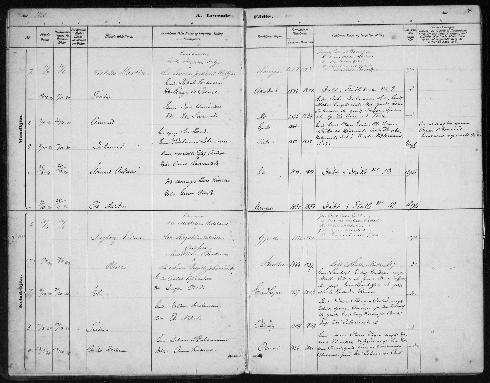 Etne sokneprestembete, AV/SAB-A-75001/H/Haa: Parish register (official) no. C  1, 1879-1919, p. 8