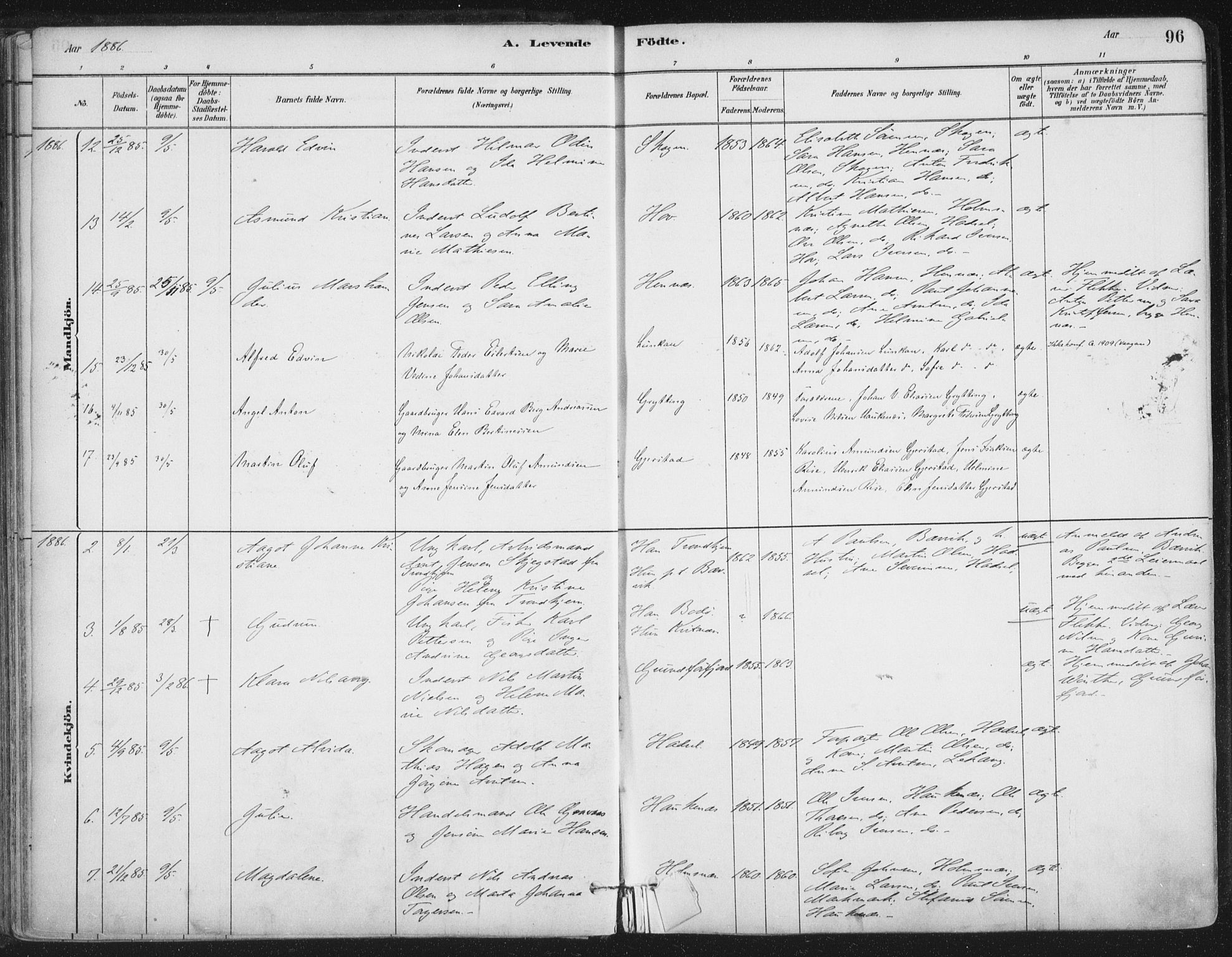 Ministerialprotokoller, klokkerbøker og fødselsregistre - Nordland, AV/SAT-A-1459/888/L1244: Parish register (official) no. 888A10, 1880-1890, p. 96