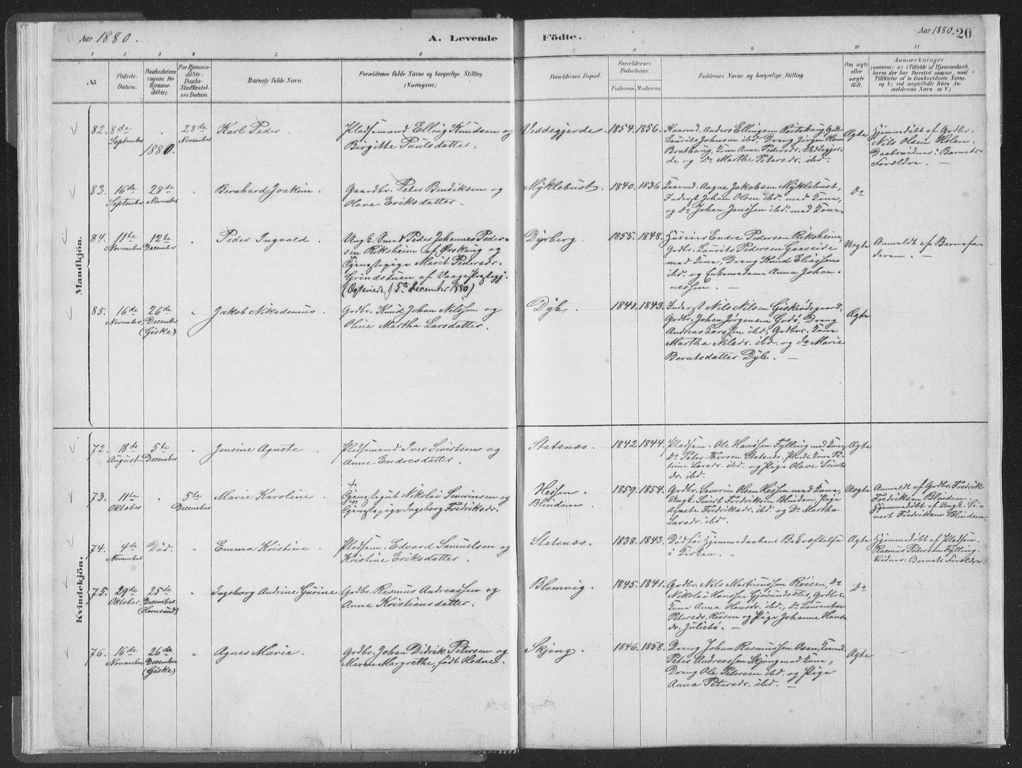 Ministerialprotokoller, klokkerbøker og fødselsregistre - Møre og Romsdal, SAT/A-1454/528/L0401: Parish register (official) no. 528A12I, 1880-1920, p. 20