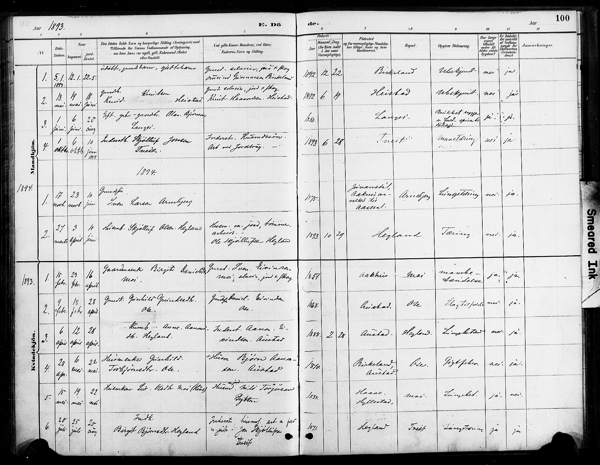 Bygland sokneprestkontor, AV/SAK-1111-0006/F/Fa/Faa/L0001: Parish register (official) no. A 1, 1885-1908, p. 100