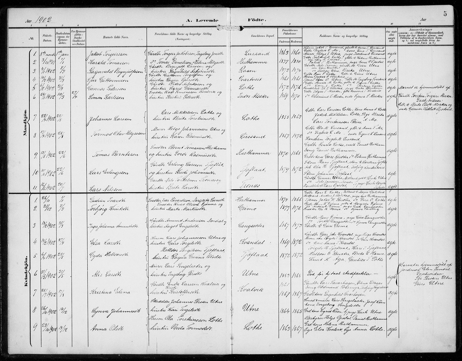 Ullensvang sokneprestembete, SAB/A-78701/H/Hab: Parish register (copy) no. F  1, 1902-1935, p. 5