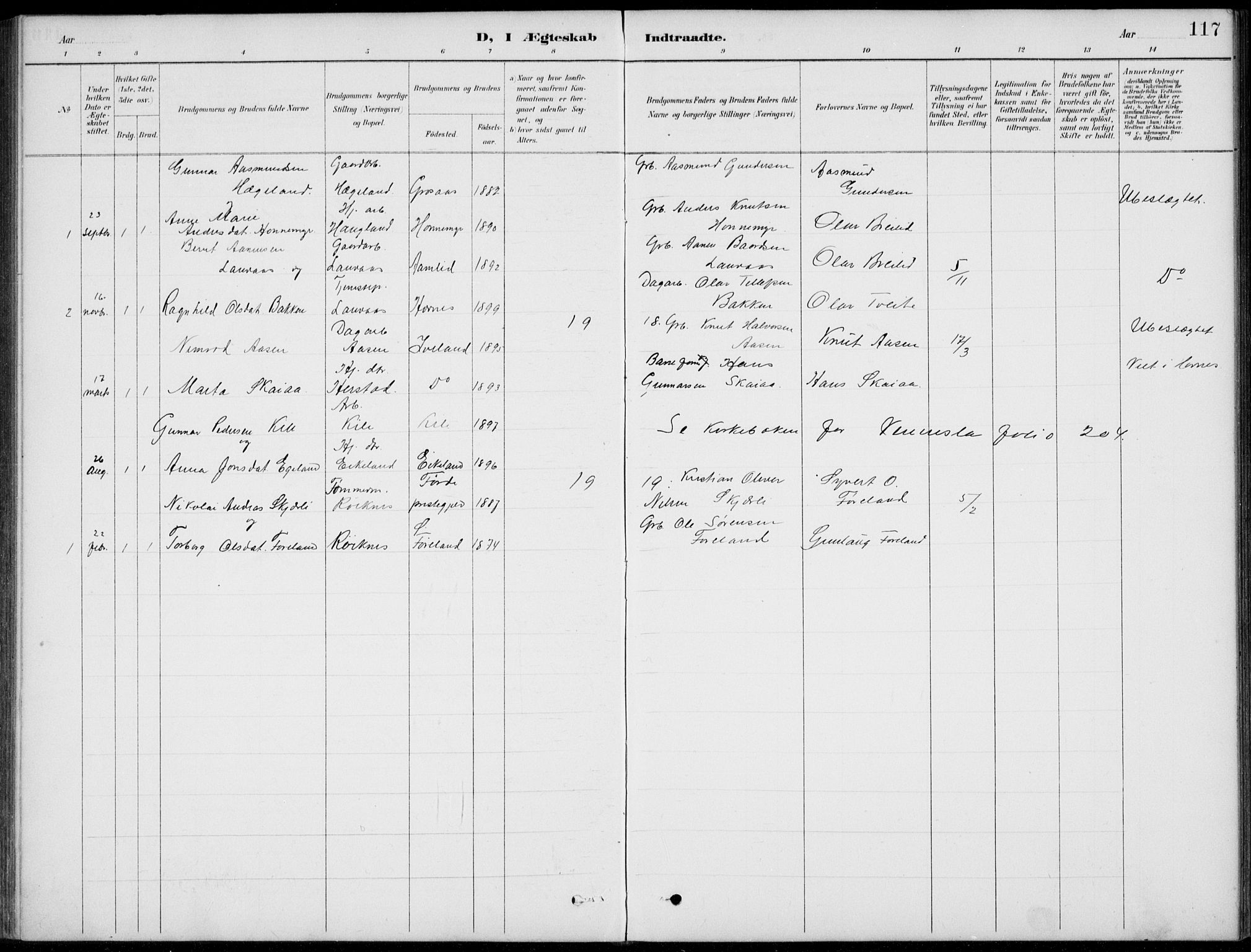 Vennesla sokneprestkontor, AV/SAK-1111-0045/Fb/Fba/L0003: Parish register (copy) no. B 3, 1890-1919, p. 117