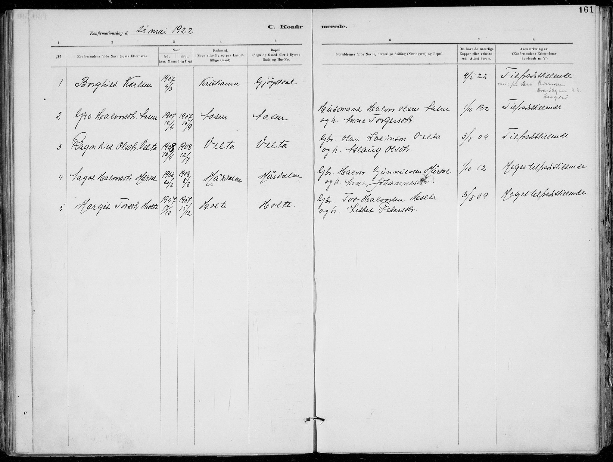 Tinn kirkebøker, AV/SAKO-A-308/F/Fa/L0007: Parish register (official) no. I 7, 1878-1922, p. 161