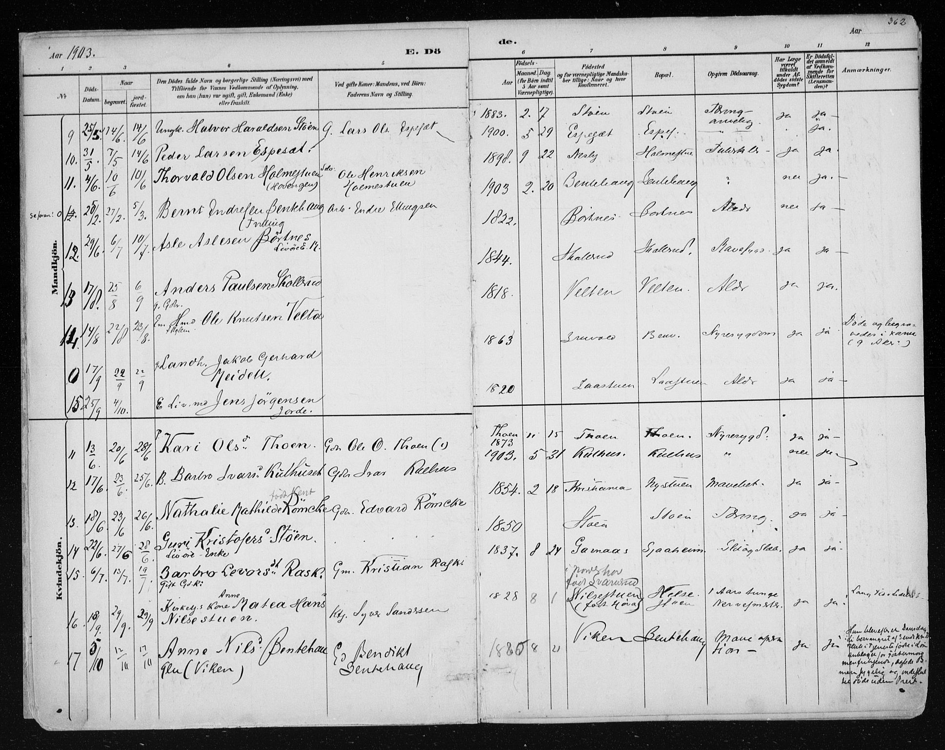 Nes kirkebøker, AV/SAKO-A-236/F/Fa/L0011: Parish register (official) no. 11, 1881-1912, p. 362