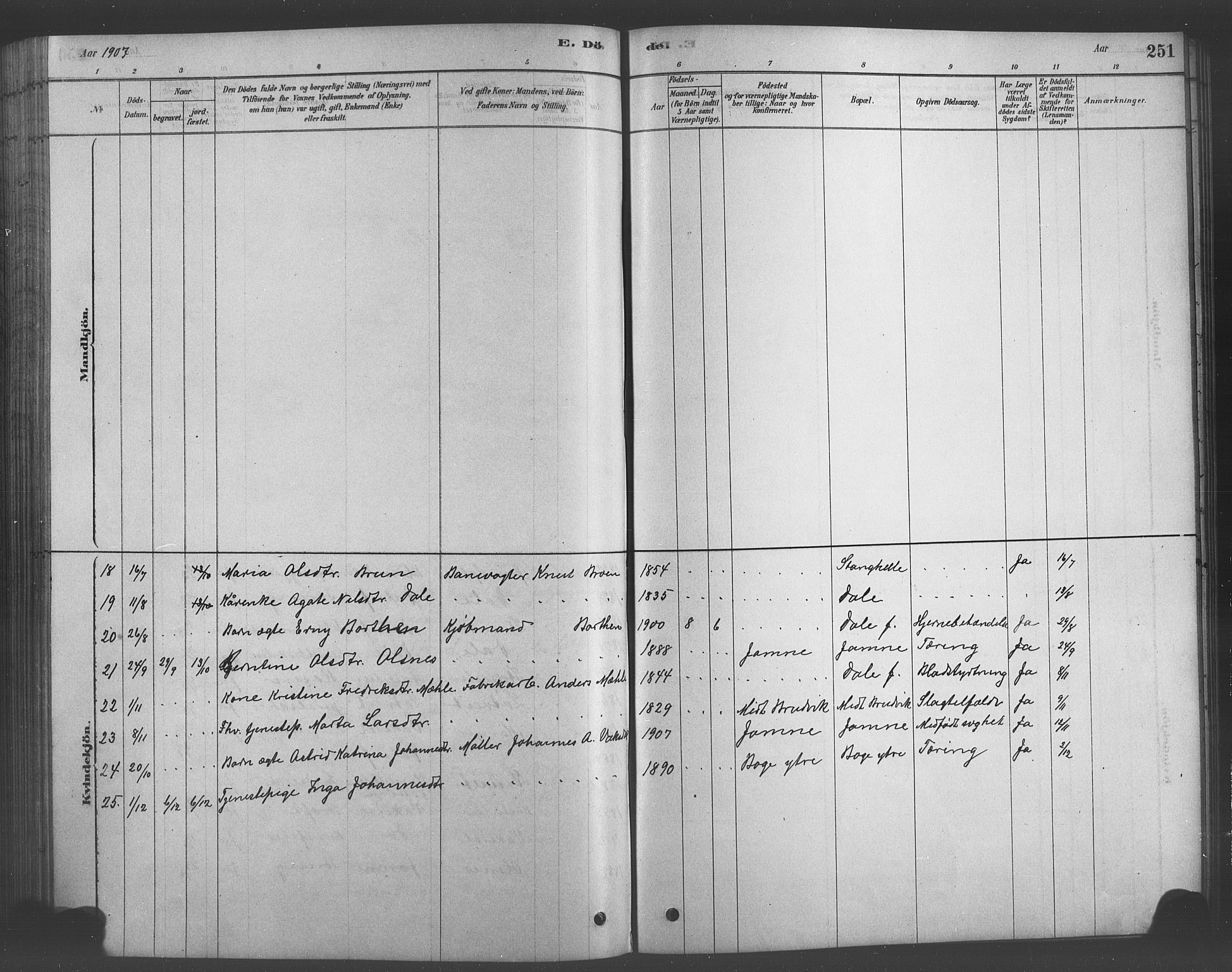 Bruvik Sokneprestembete, AV/SAB-A-74701/H/Hab: Parish register (copy) no. A 1, 1878-1907, p. 251