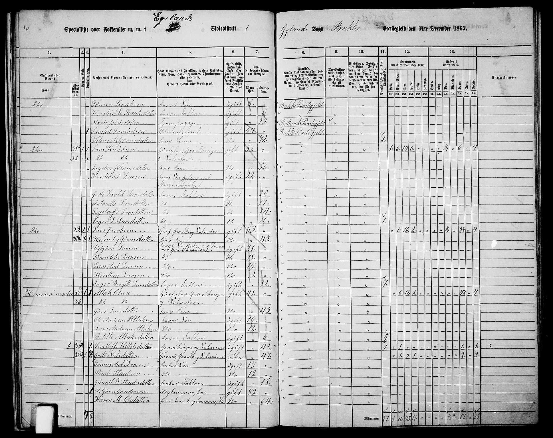 RA, 1865 census for Bakke, 1865, p. 23