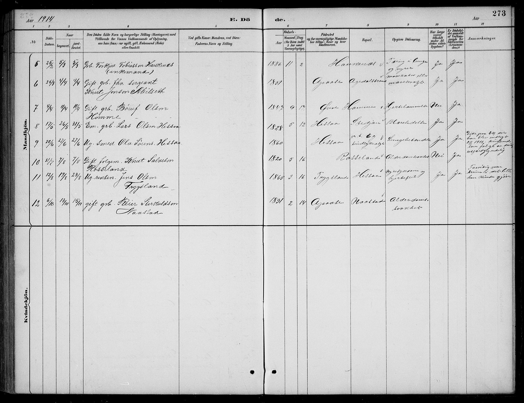 Bjelland sokneprestkontor, AV/SAK-1111-0005/F/Fb/Fba/L0005: Parish register (copy) no. B 5, 1887-1923, p. 273