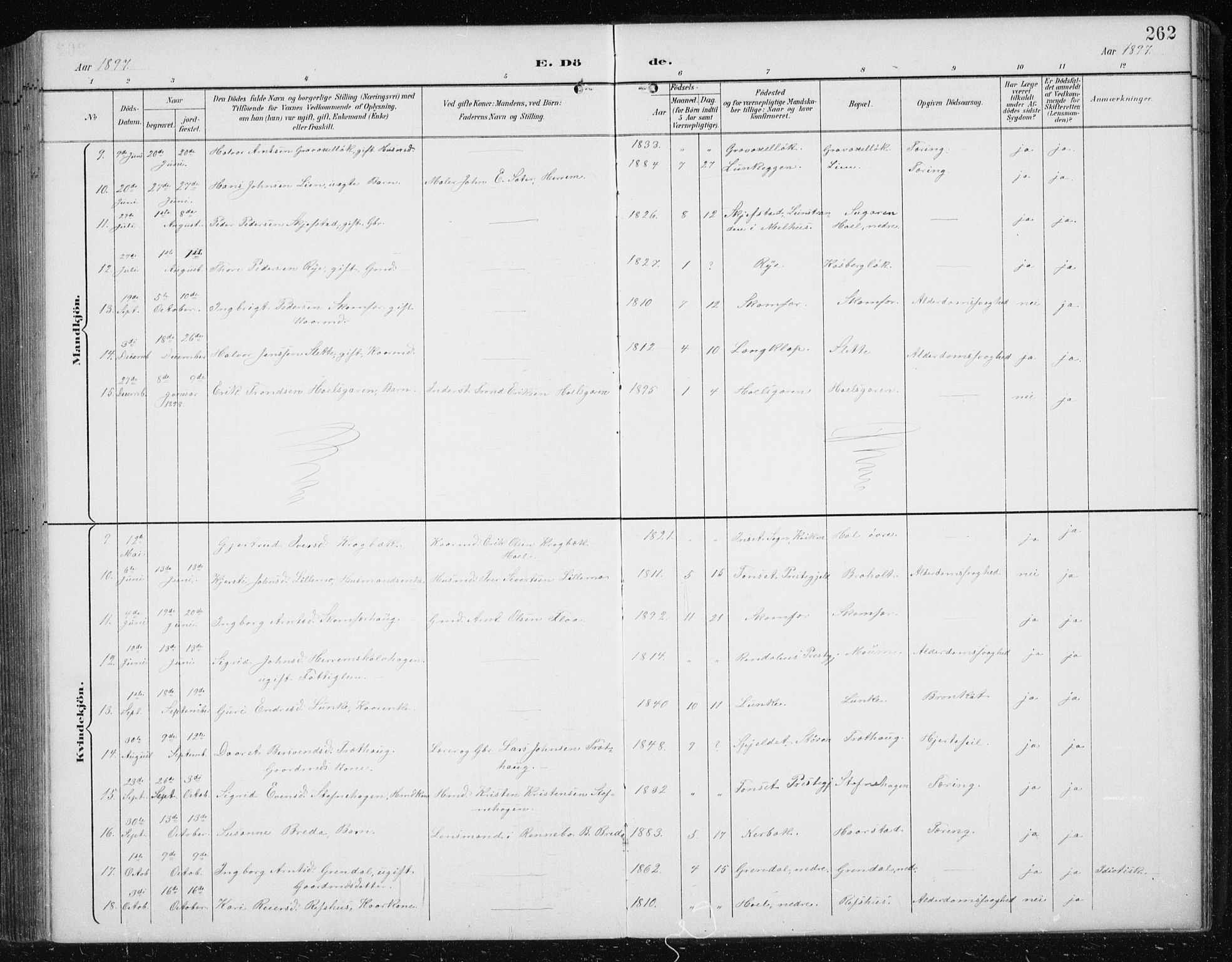 Ministerialprotokoller, klokkerbøker og fødselsregistre - Sør-Trøndelag, AV/SAT-A-1456/674/L0876: Parish register (copy) no. 674C03, 1892-1912, p. 262