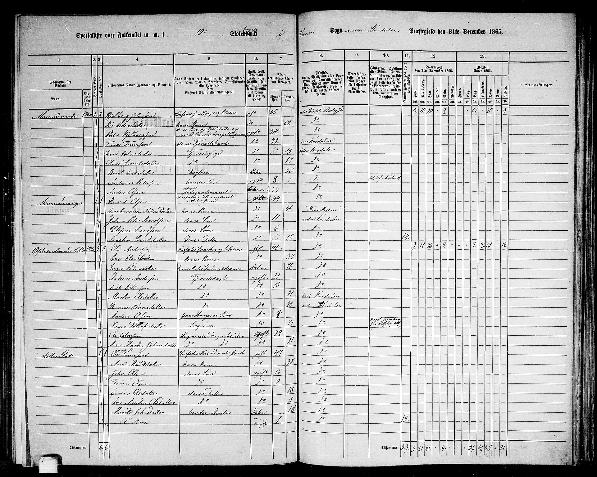 RA, 1865 census for Nedre Stjørdal, 1865, p. 229