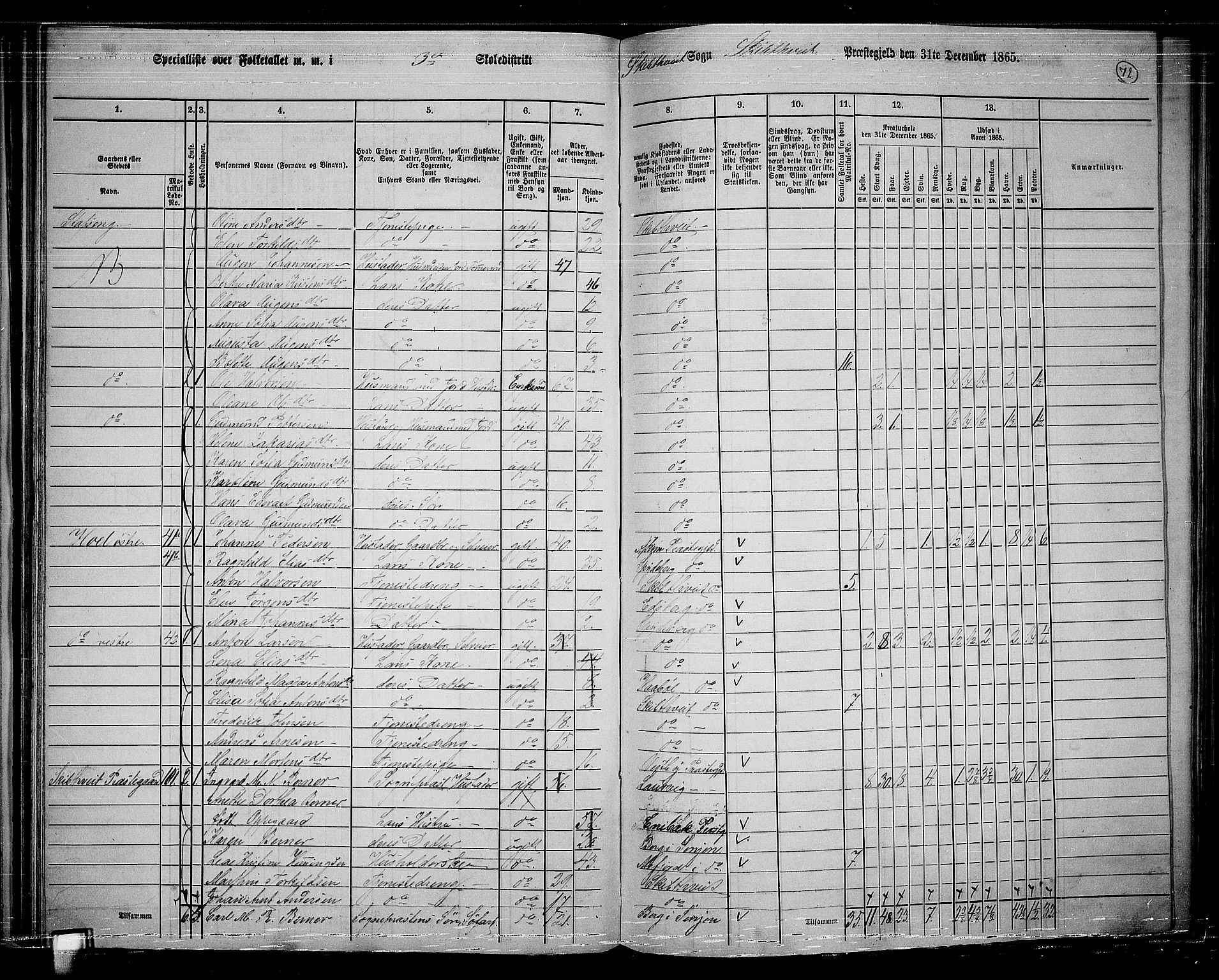 RA, 1865 census for Skiptvet, 1865, p. 63