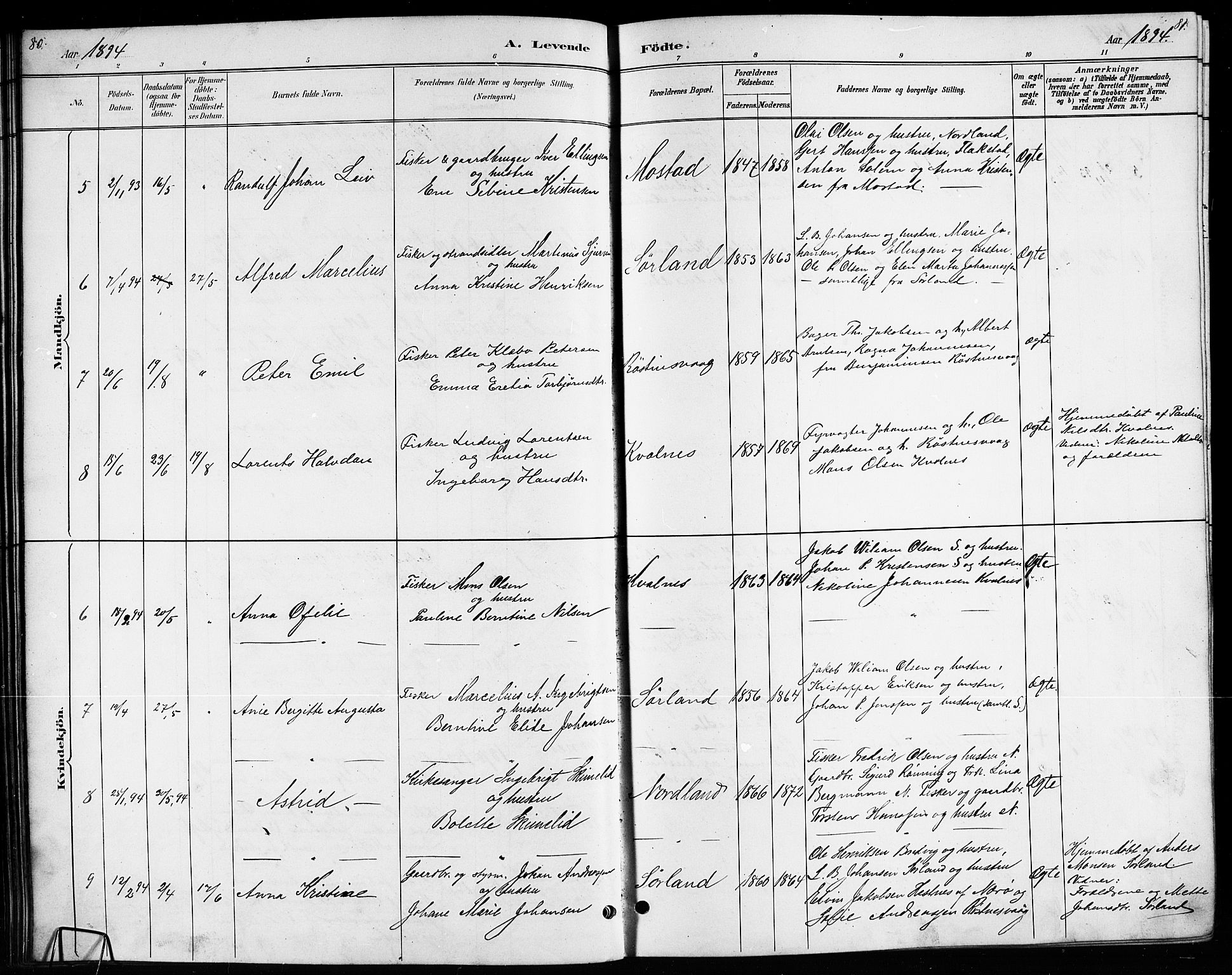 Ministerialprotokoller, klokkerbøker og fødselsregistre - Nordland, AV/SAT-A-1459/807/L0123: Parish register (copy) no. 807C01, 1884-1910, p. 80-81