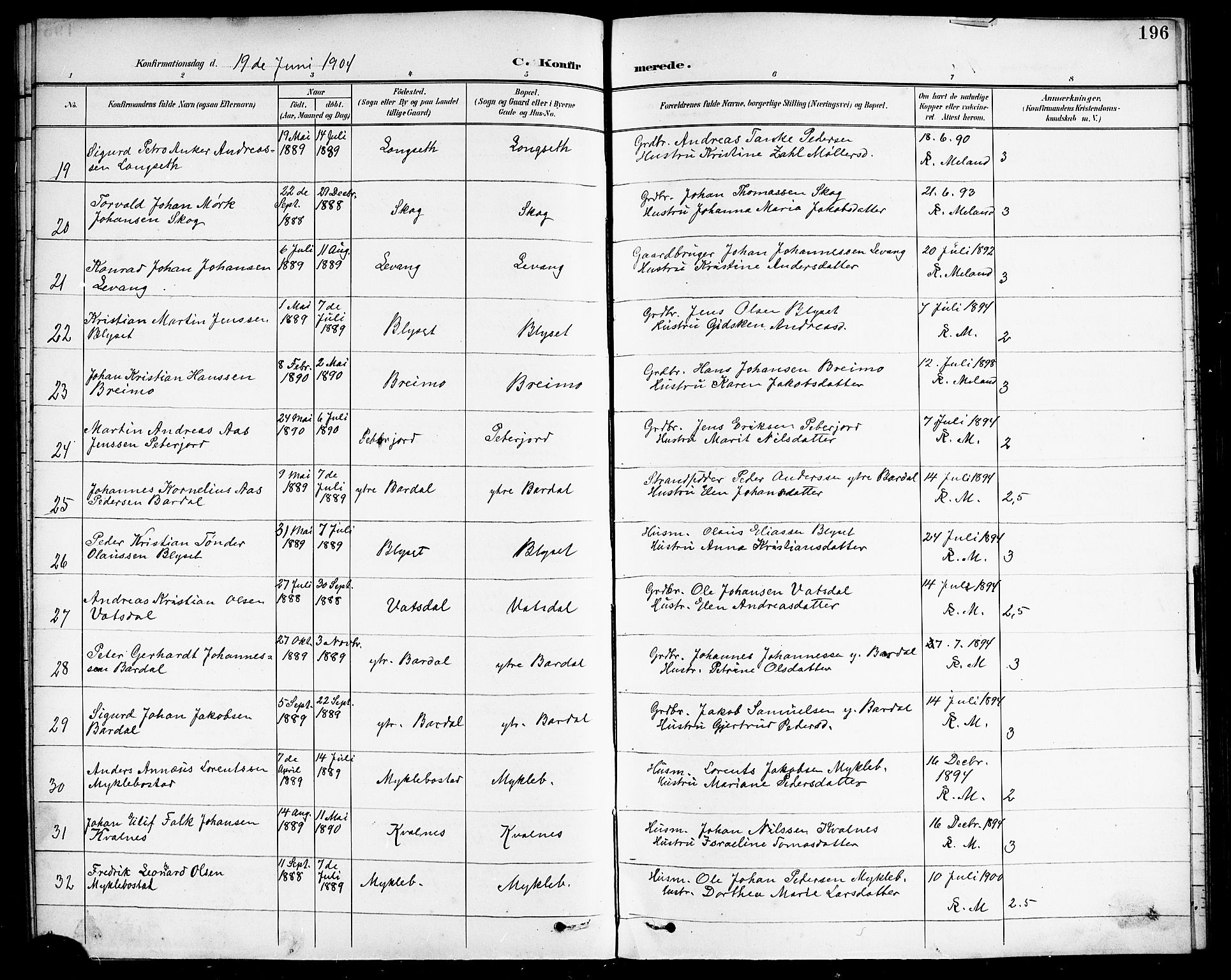 Ministerialprotokoller, klokkerbøker og fødselsregistre - Nordland, AV/SAT-A-1459/838/L0559: Parish register (copy) no. 838C06, 1893-1910, p. 196