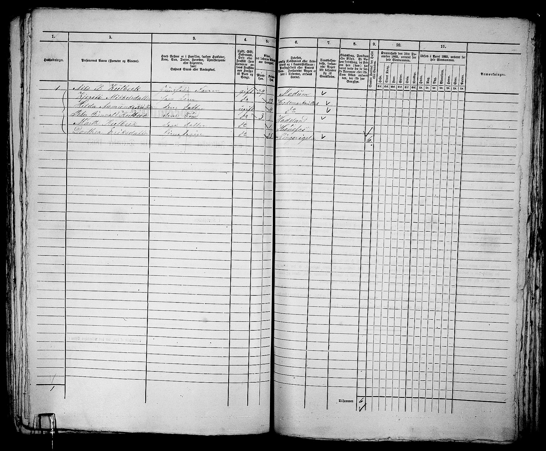 RA, 1865 census for Norderhov/Hønefoss, 1865, p. 249