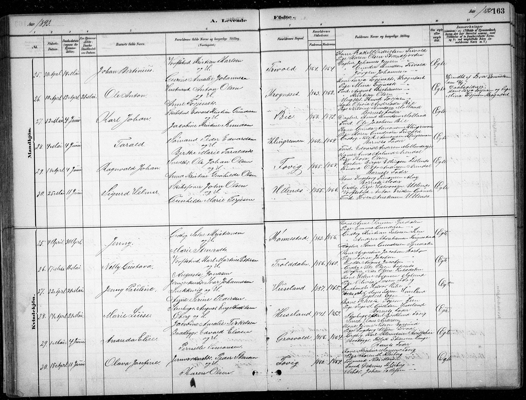 Fjære sokneprestkontor, SAK/1111-0011/F/Fb/L0011: Parish register (copy) no. B 11, 1881-1905, p. 163