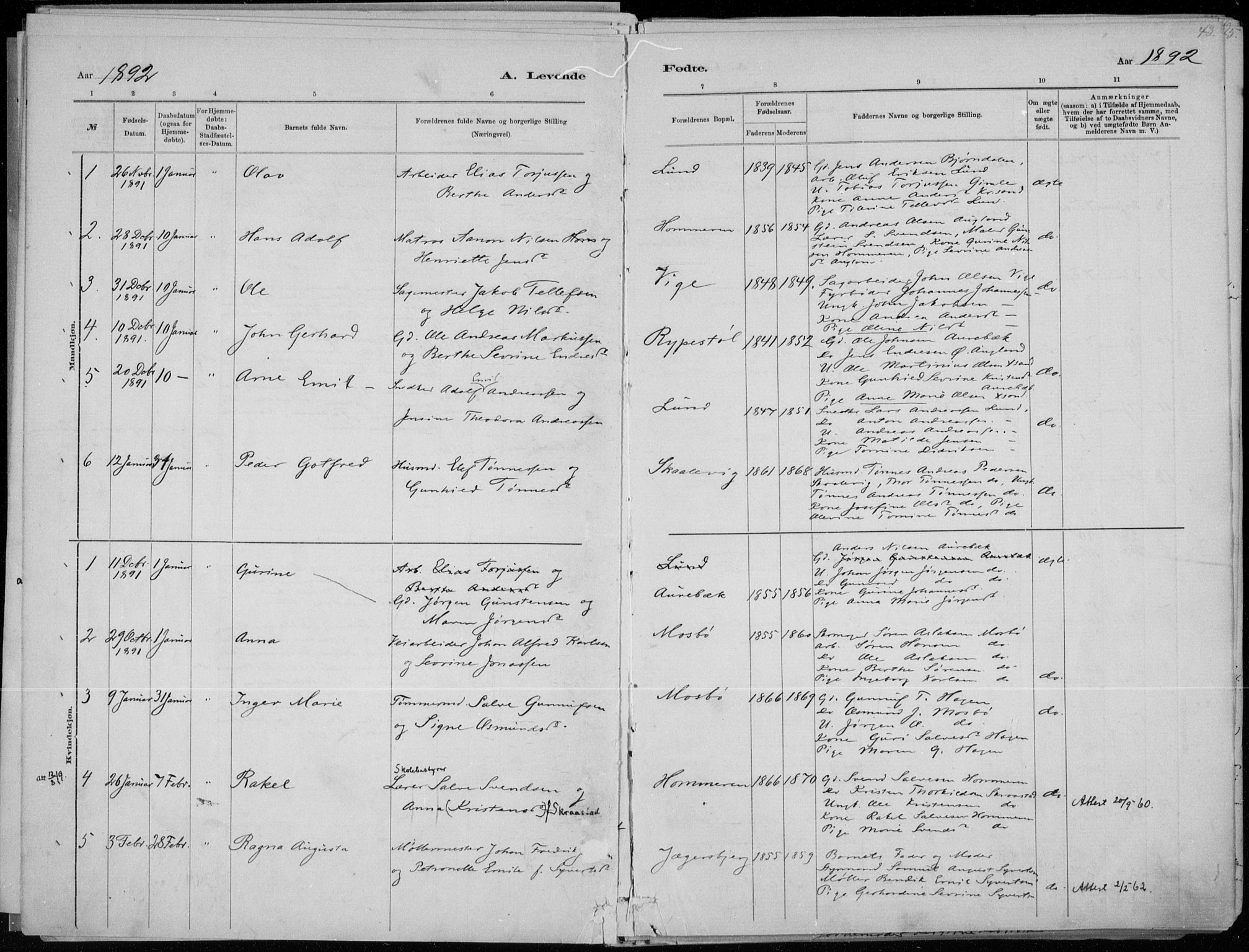 Oddernes sokneprestkontor, SAK/1111-0033/F/Fa/Faa/L0009: Parish register (official) no. A 9, 1884-1896, p. 43