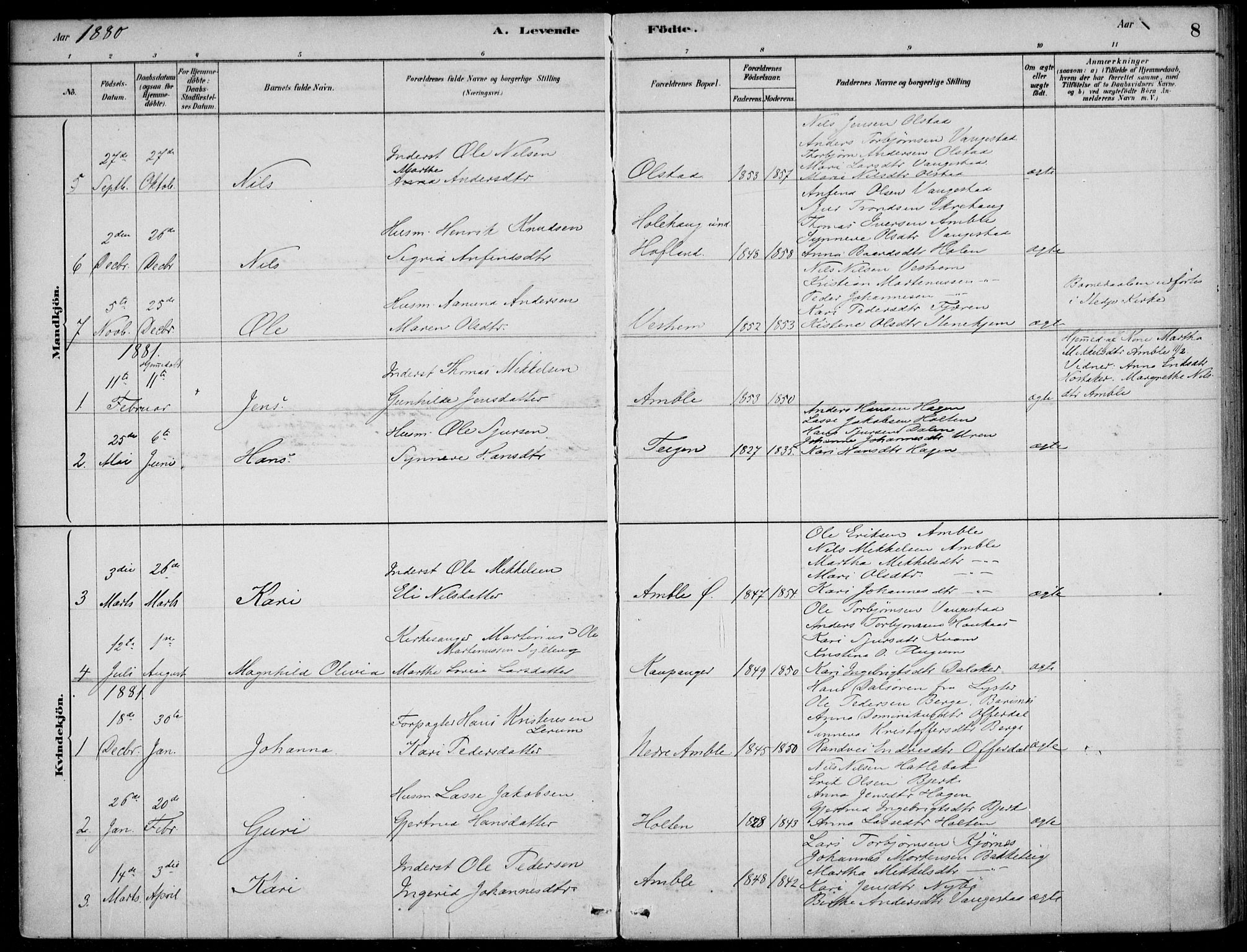 Sogndal sokneprestembete, AV/SAB-A-81301/H/Haa/Haad/L0001: Parish register (official) no. D  1, 1878-1907, p. 8