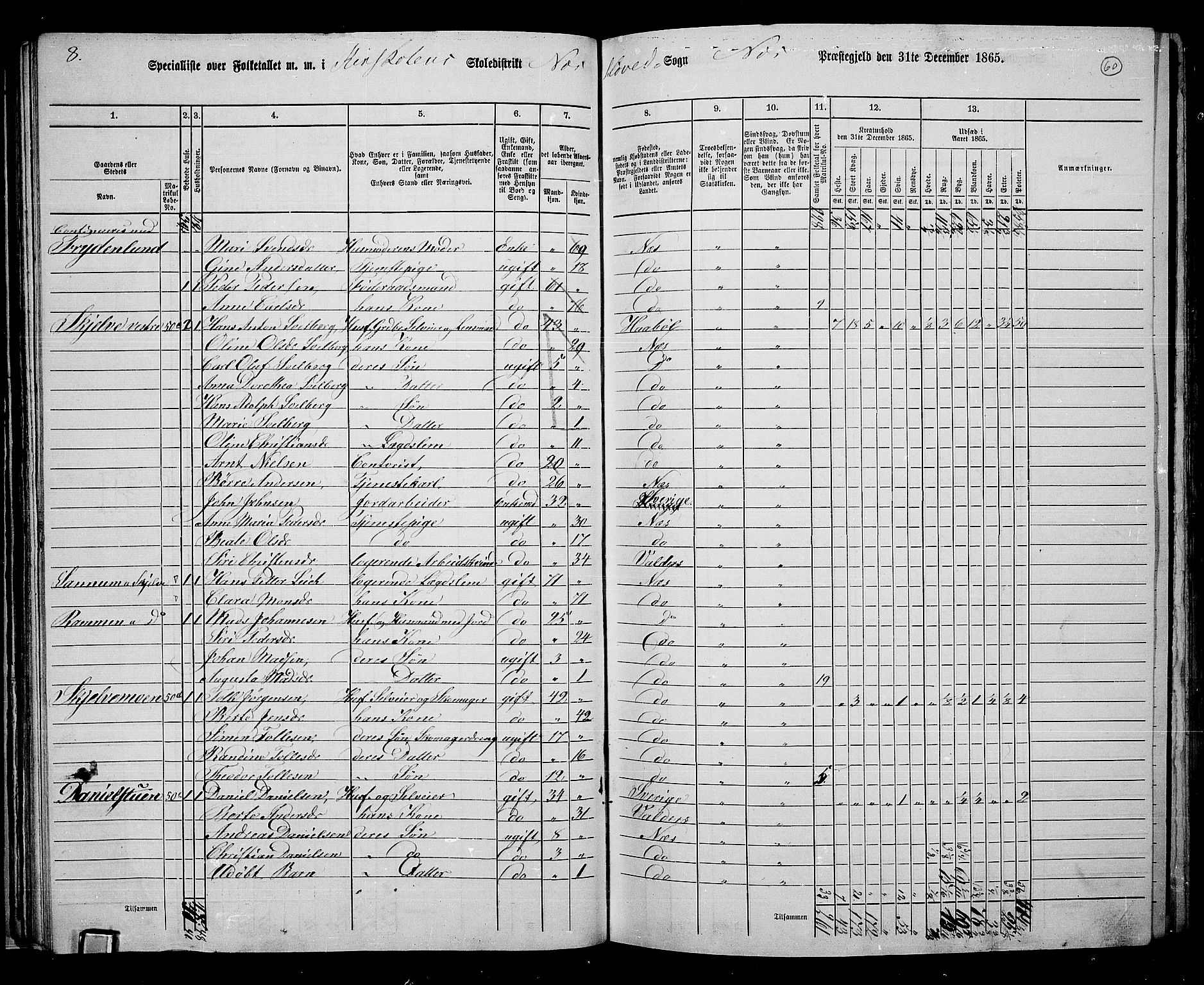 RA, 1865 census for Nes, 1865, p. 53