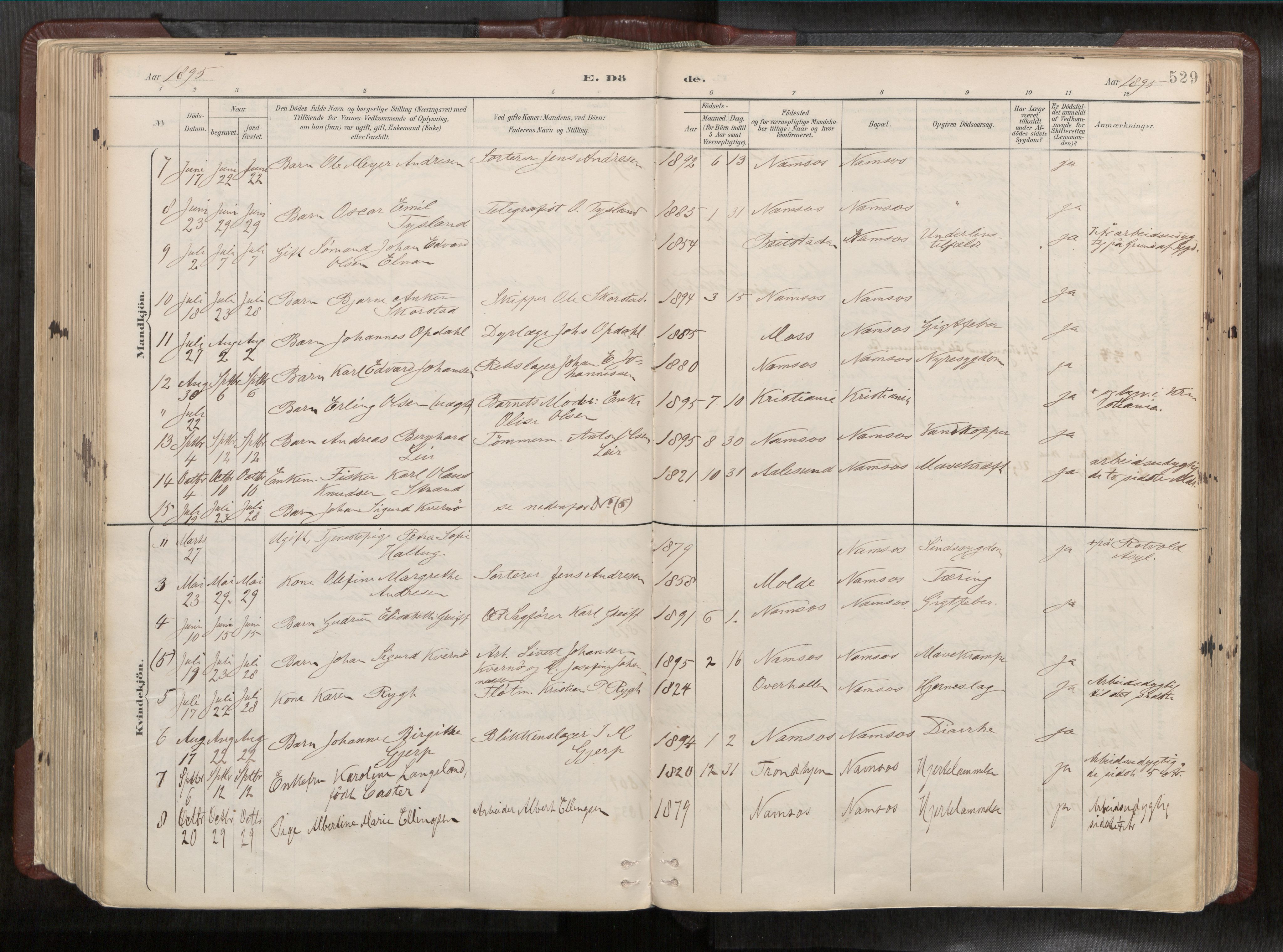 Ministerialprotokoller, klokkerbøker og fødselsregistre - Nord-Trøndelag, AV/SAT-A-1458/768/L0579a: Parish register (official) no. 768A14, 1887-1931, p. 529