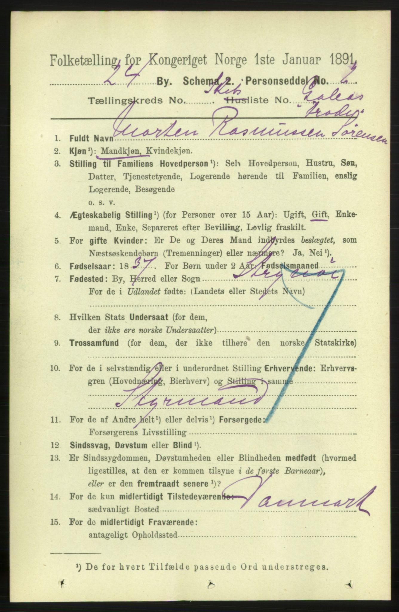 RA, 1891 census for 0707 Larvik, 1891, p. 13952