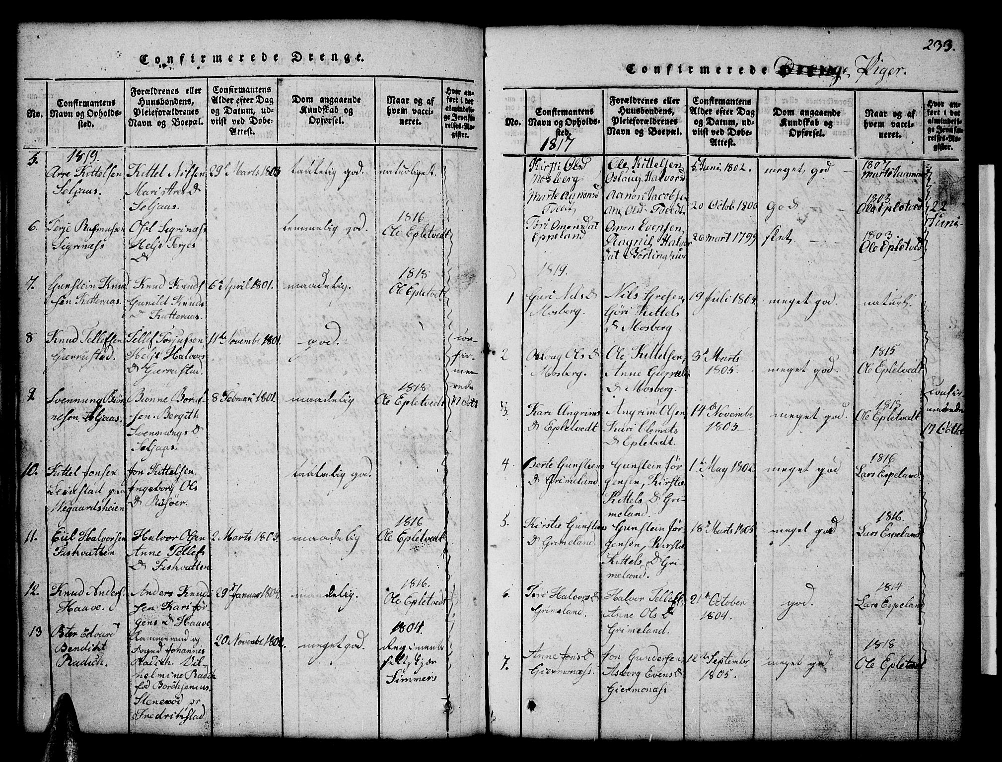 Åmli sokneprestkontor, SAK/1111-0050/F/Fb/Fbc/L0001: Parish register (copy) no. B 1, 1816-1867, p. 233
