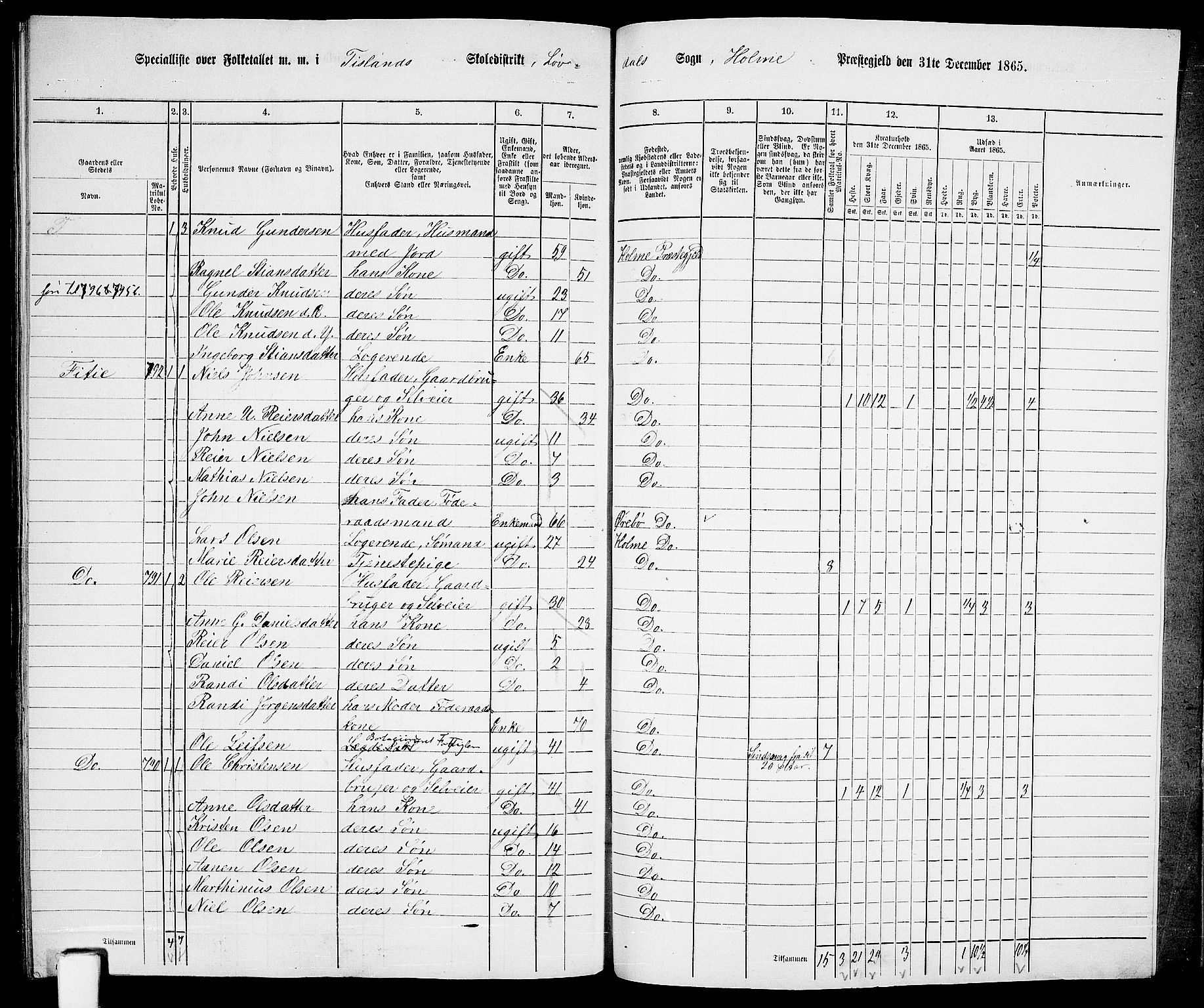 RA, 1865 census for Holum, 1865, p. 169