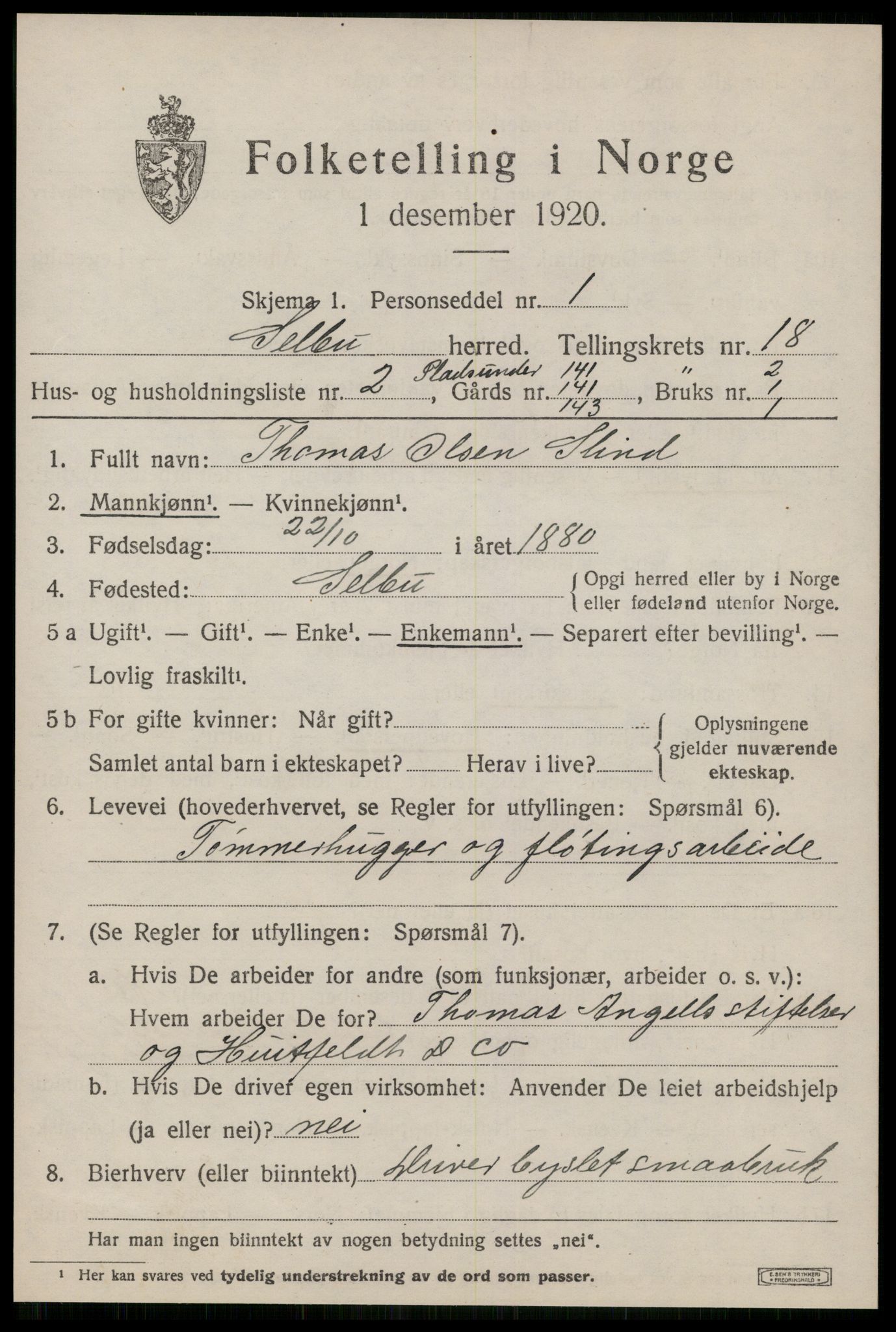 SAT, 1920 census for Selbu, 1920, p. 9446