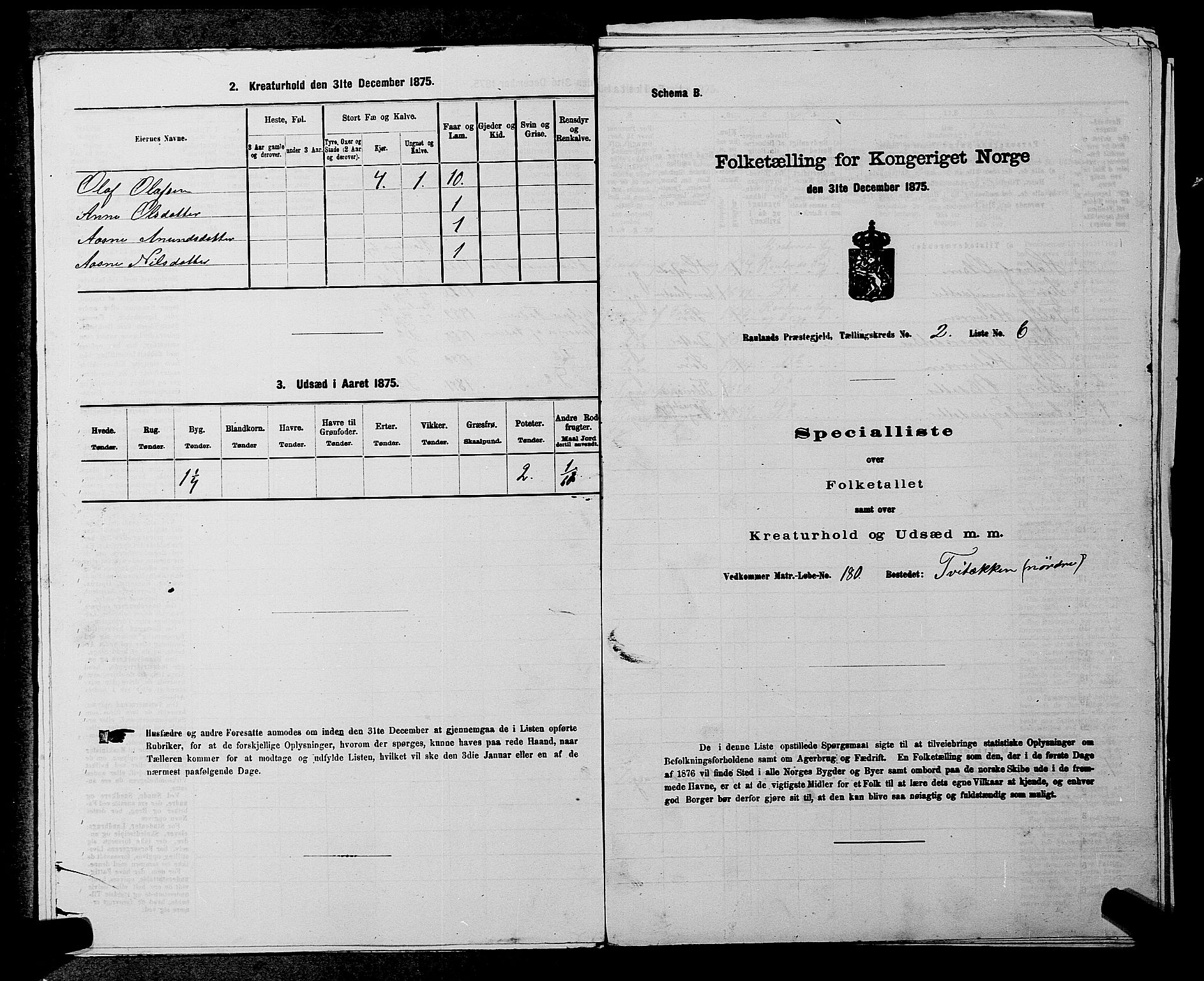 SAKO, 1875 census for 0835P Rauland, 1875, p. 106