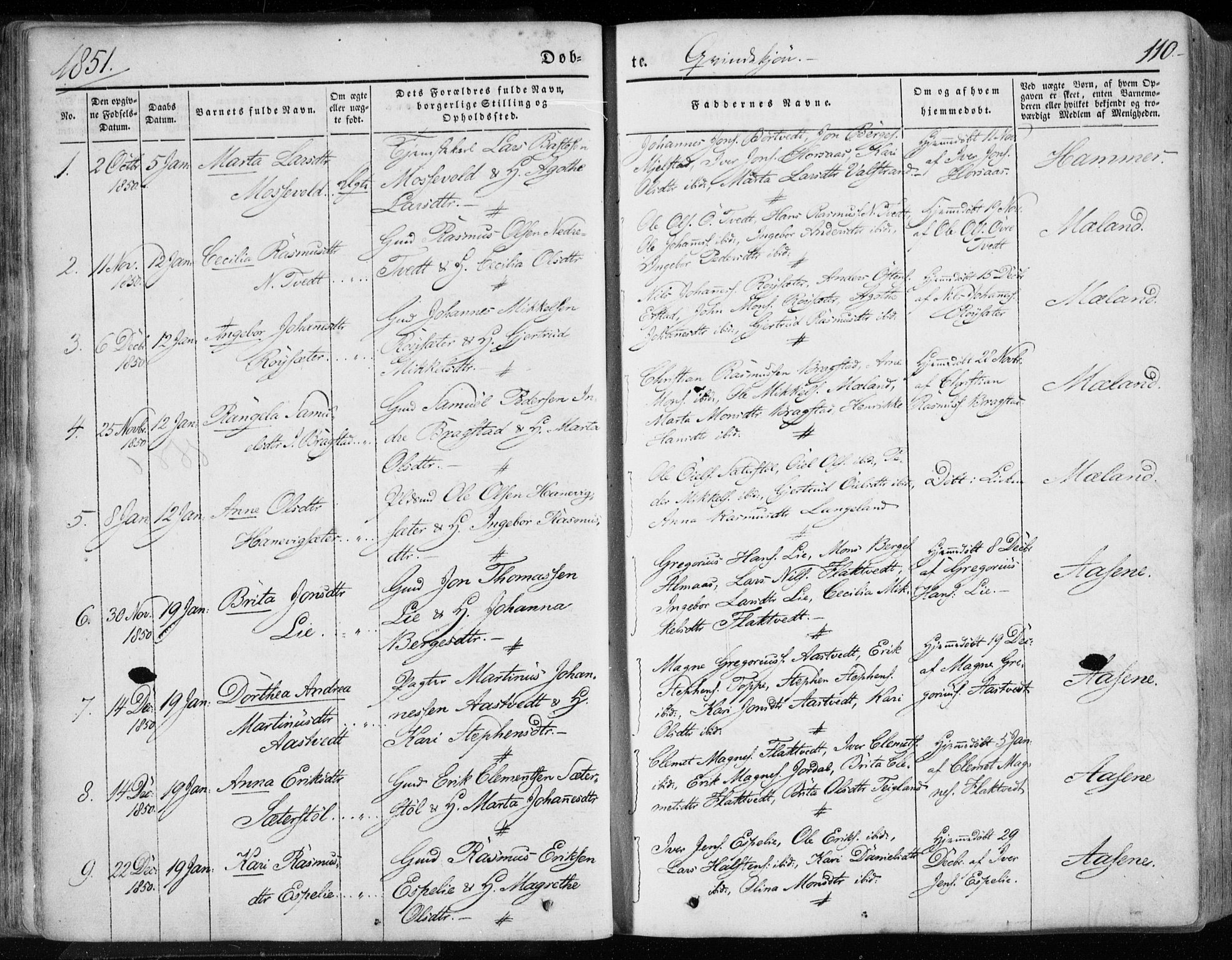 Hamre sokneprestembete, SAB/A-75501/H/Ha/Haa/Haaa/L0013: Parish register (official) no. A 13, 1846-1857, p. 110
