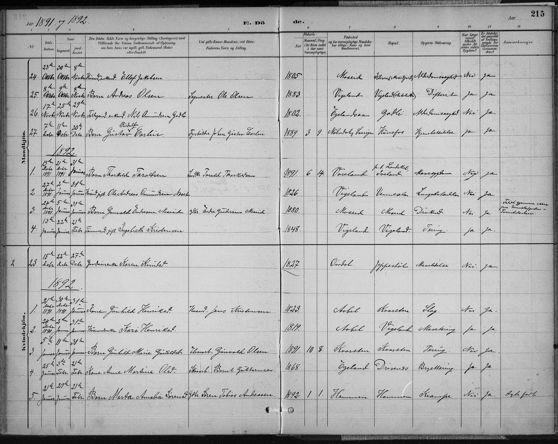 Vennesla sokneprestkontor, AV/SAK-1111-0045/Fa/Fab/L0004: Parish register (official) no. A 4, 1884-1896, p. 215