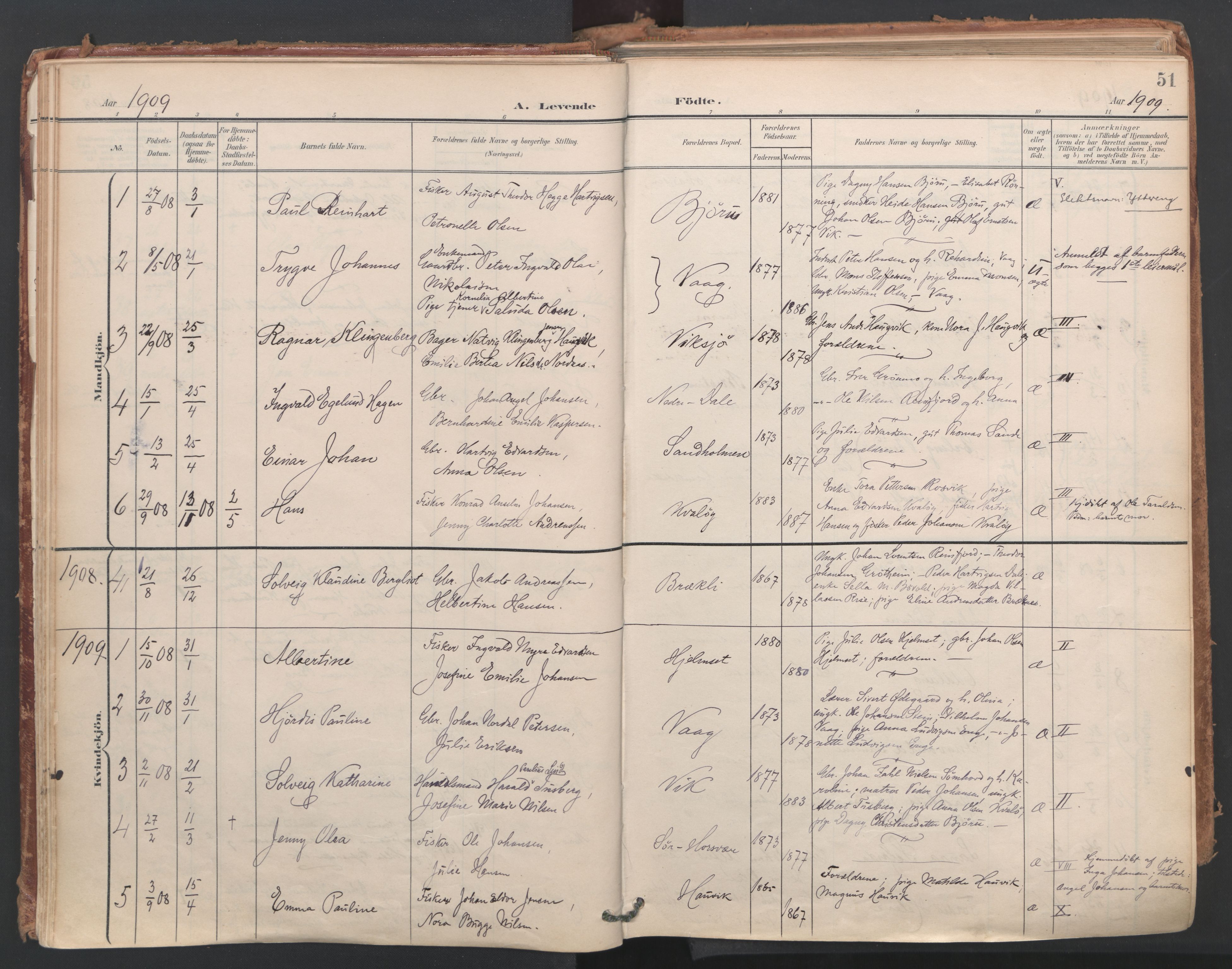 Ministerialprotokoller, klokkerbøker og fødselsregistre - Nordland, AV/SAT-A-1459/812/L0180: Parish register (official) no. 812A09, 1901-1915, p. 51